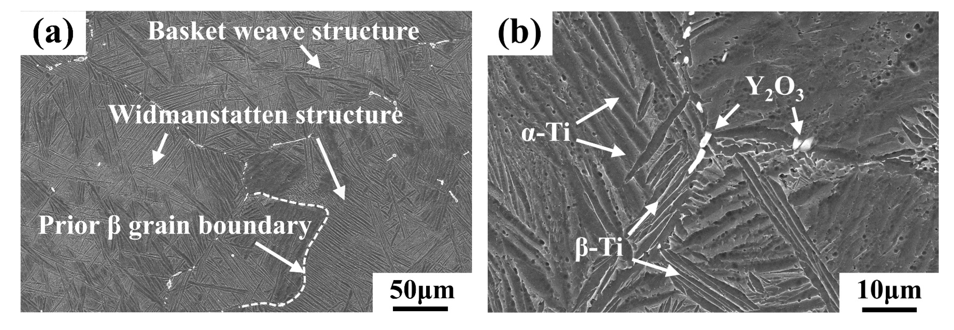 Materials 16 04784 g003a Materials 16 04784 g003a