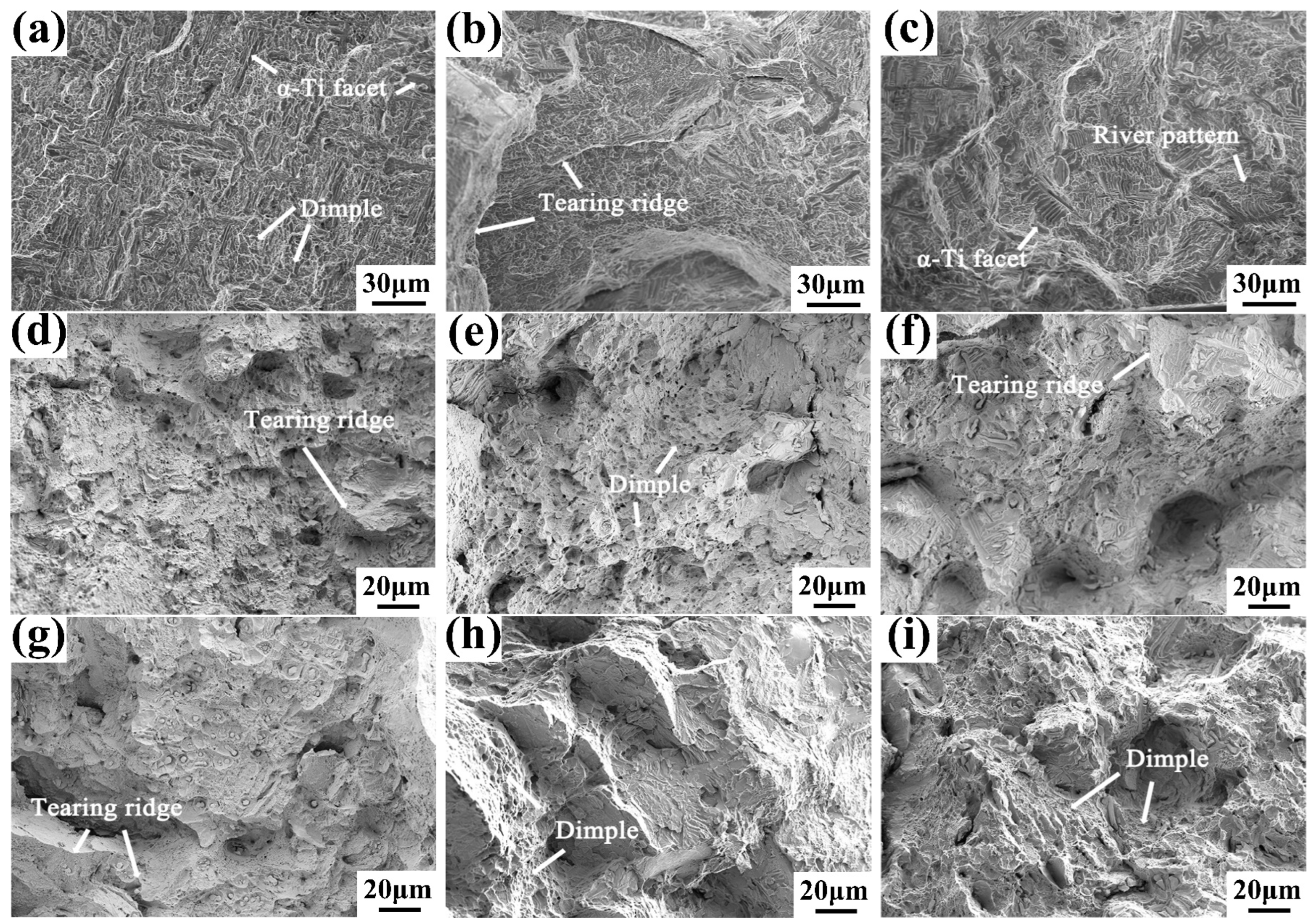 Materials 16 04784 g018 Materials 16 04784 g018