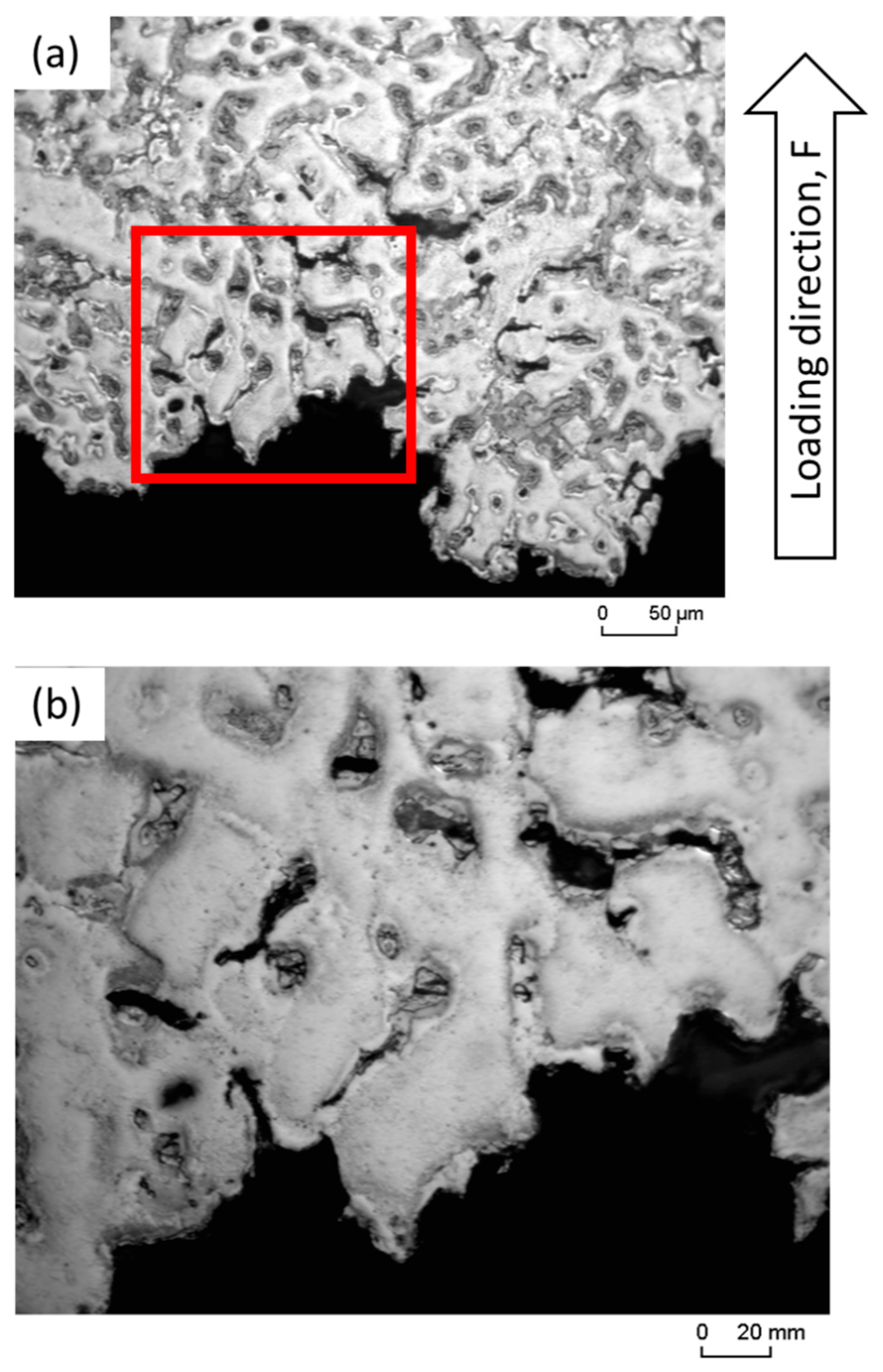 Materials 16 04785 g010