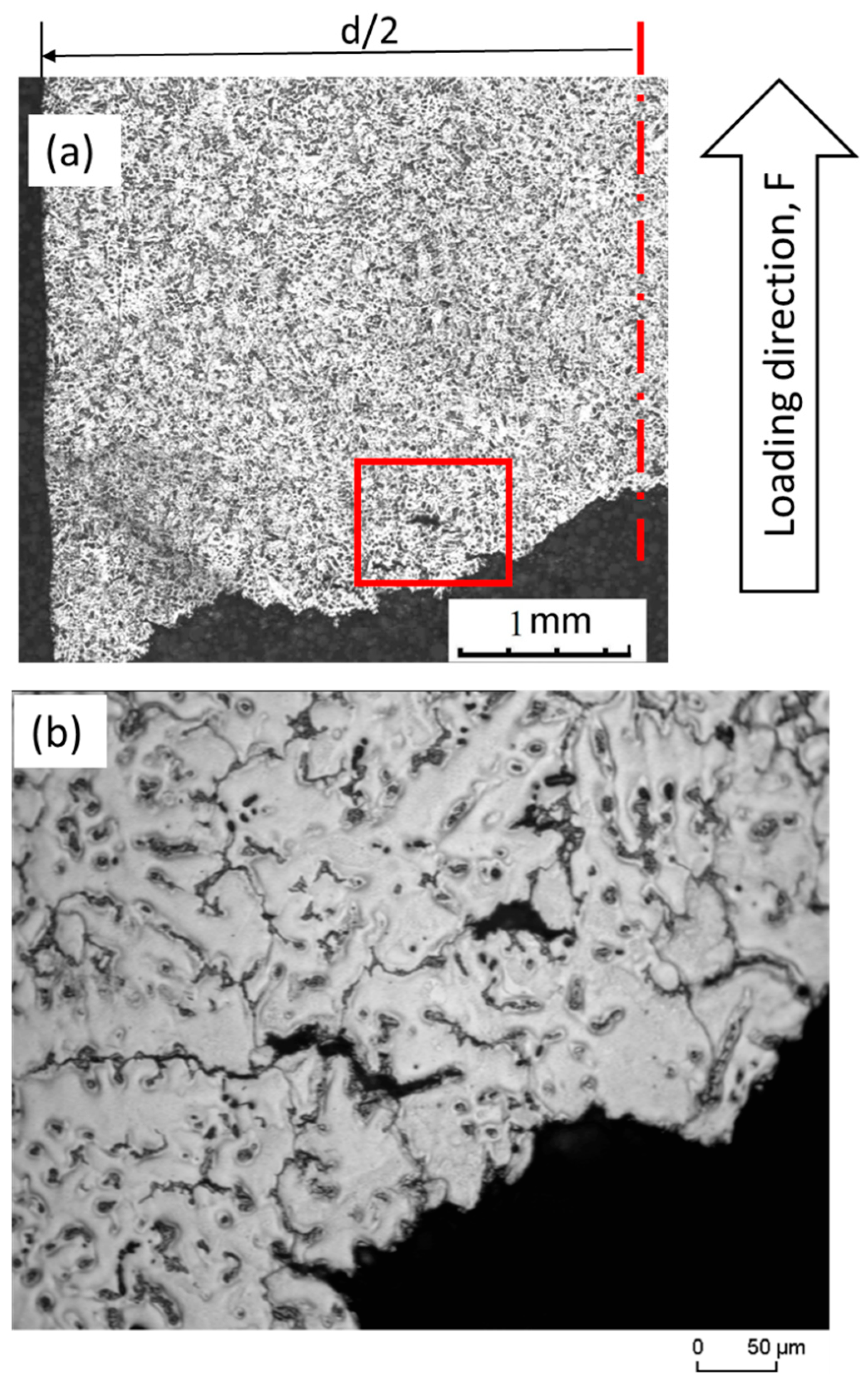 Materials 16 04785 g011