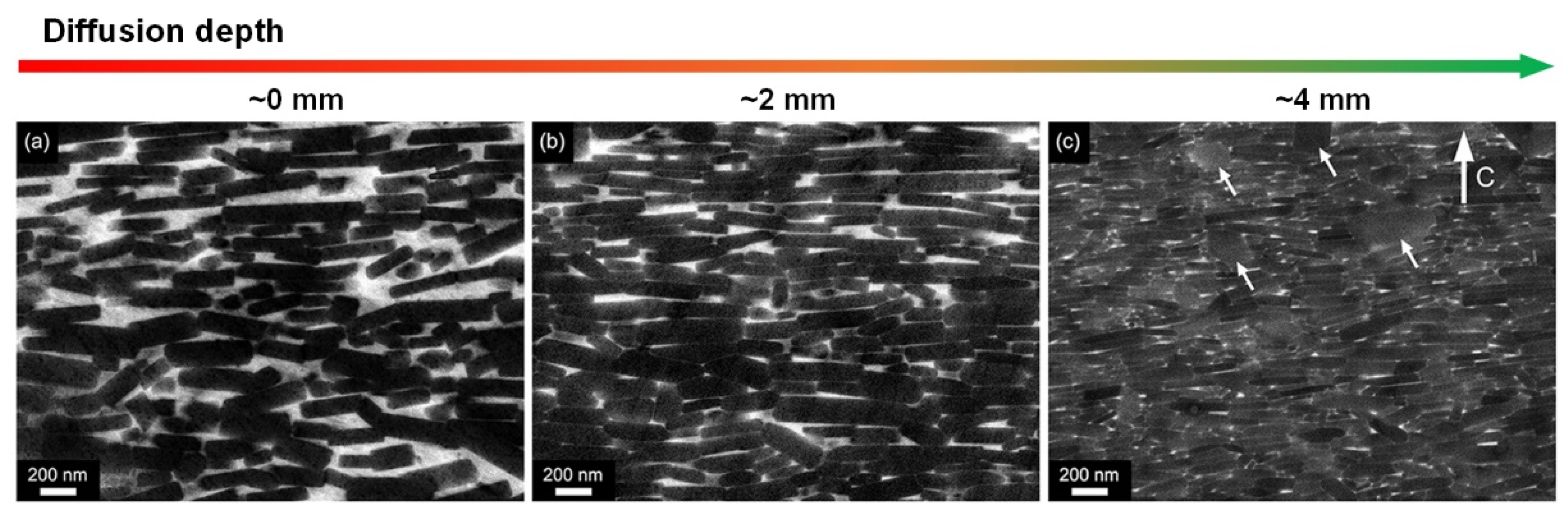 Materials 16 04789 g013