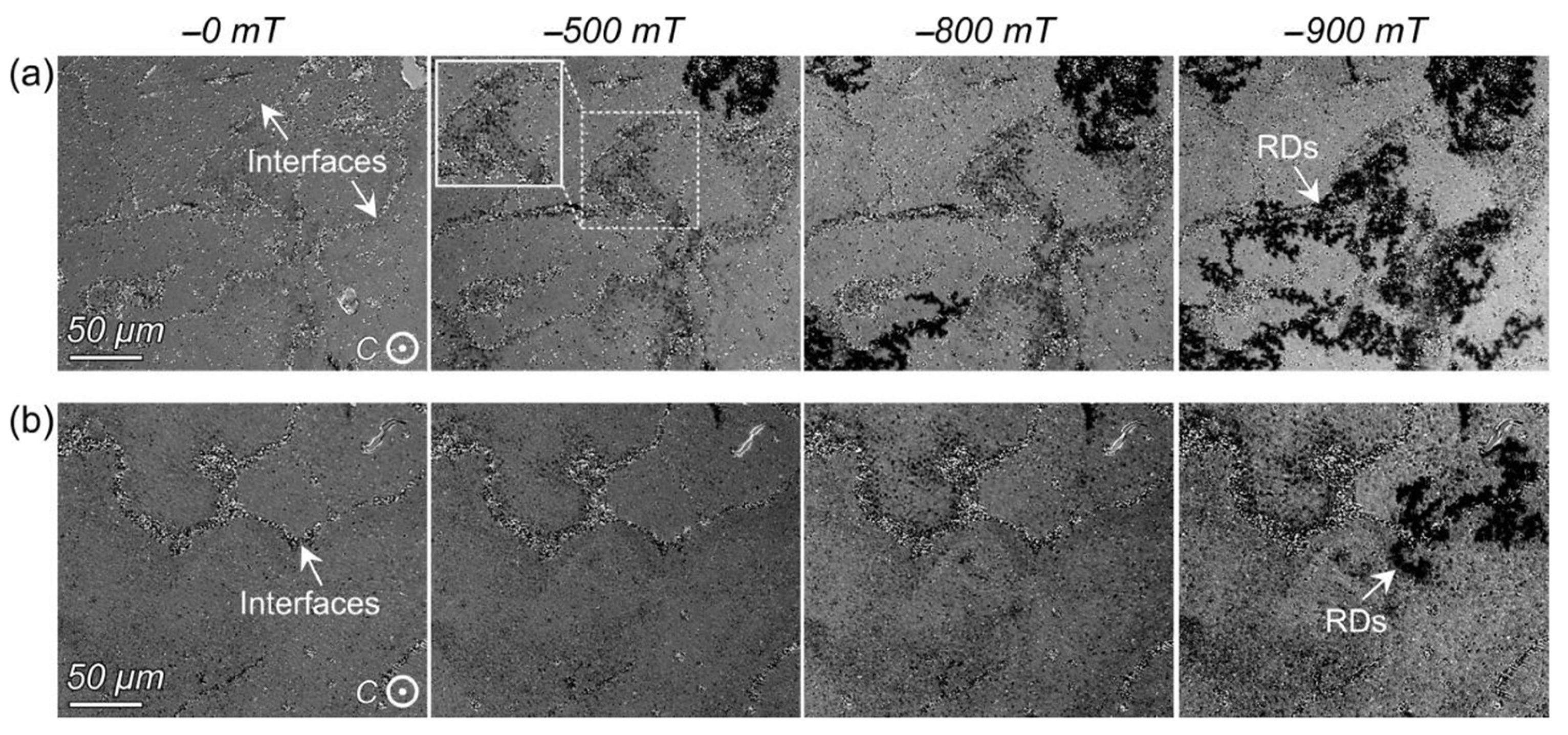 Materials 16 04789 g027