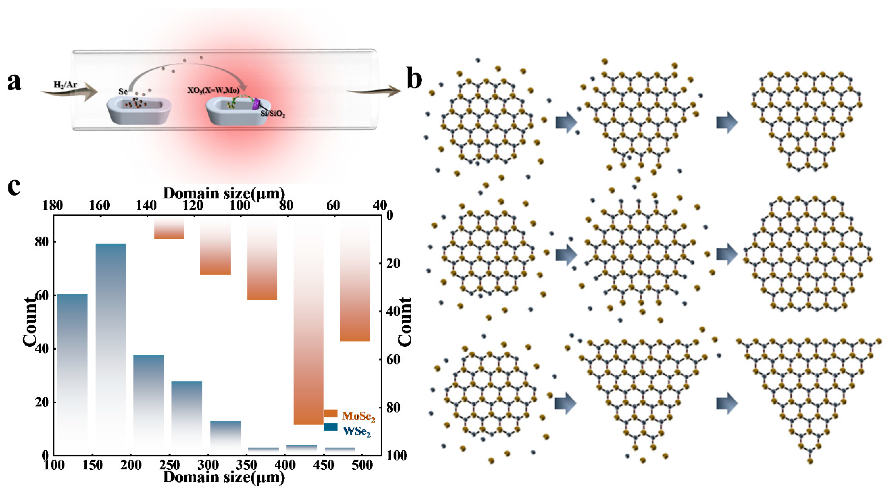 Materials 16 04795 g001