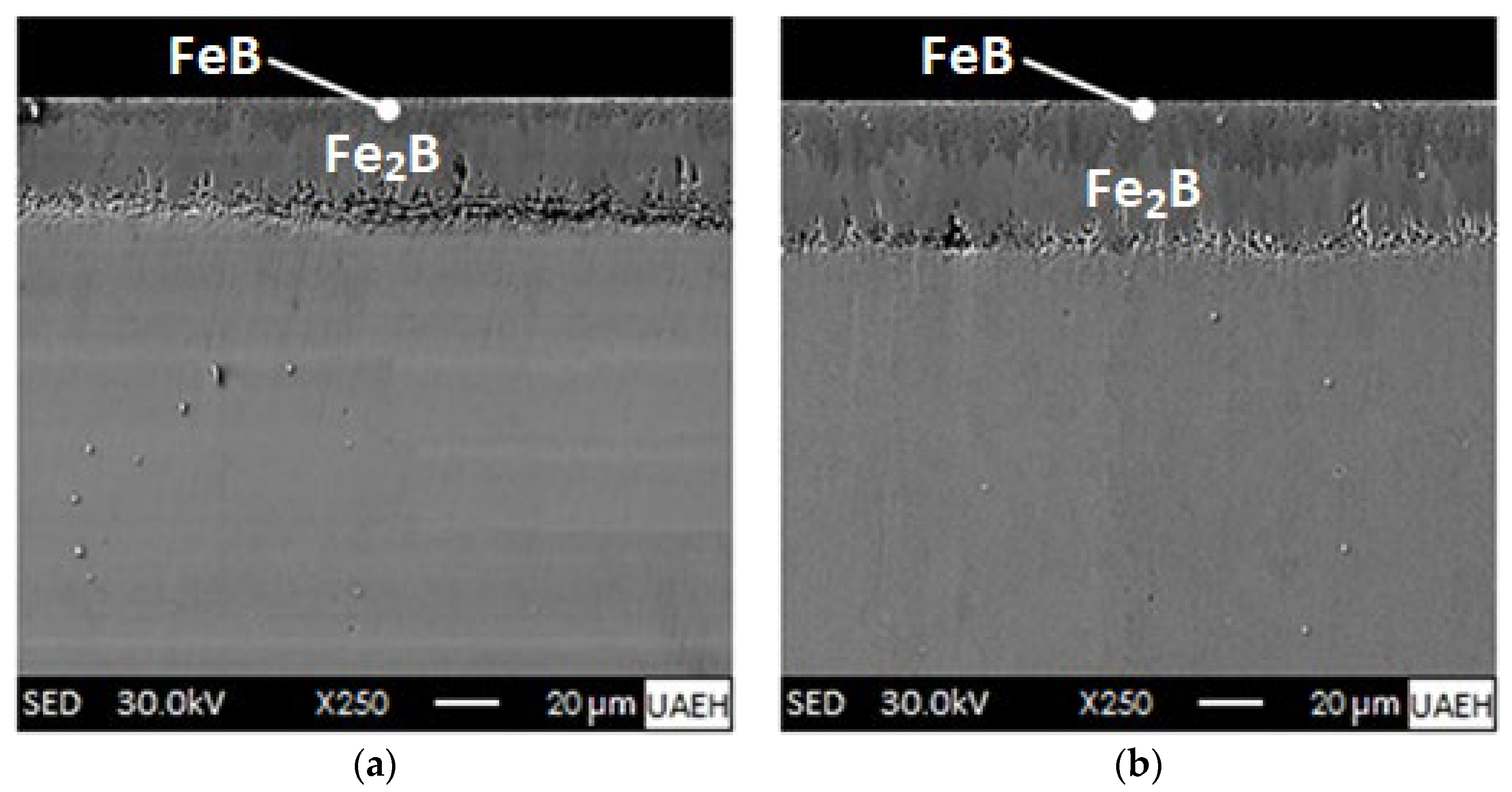 Materials 16 04801 g008a