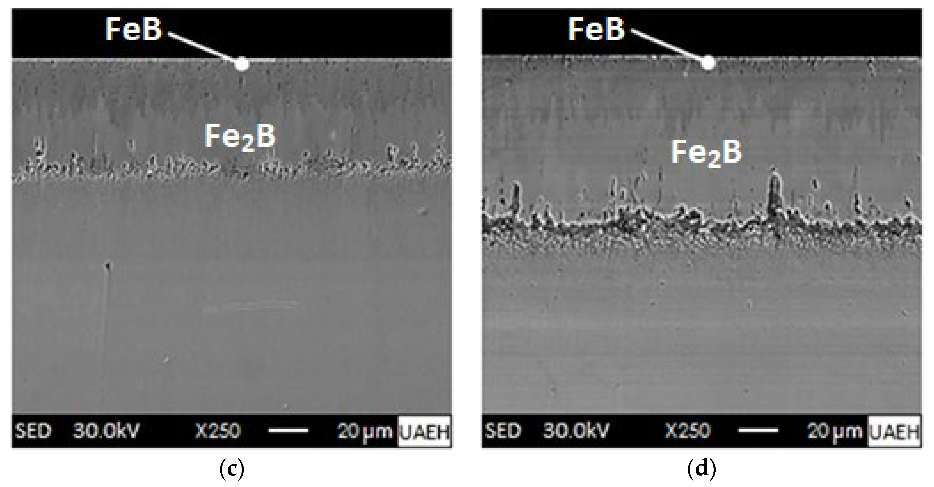 Materials 16 04801 g008b