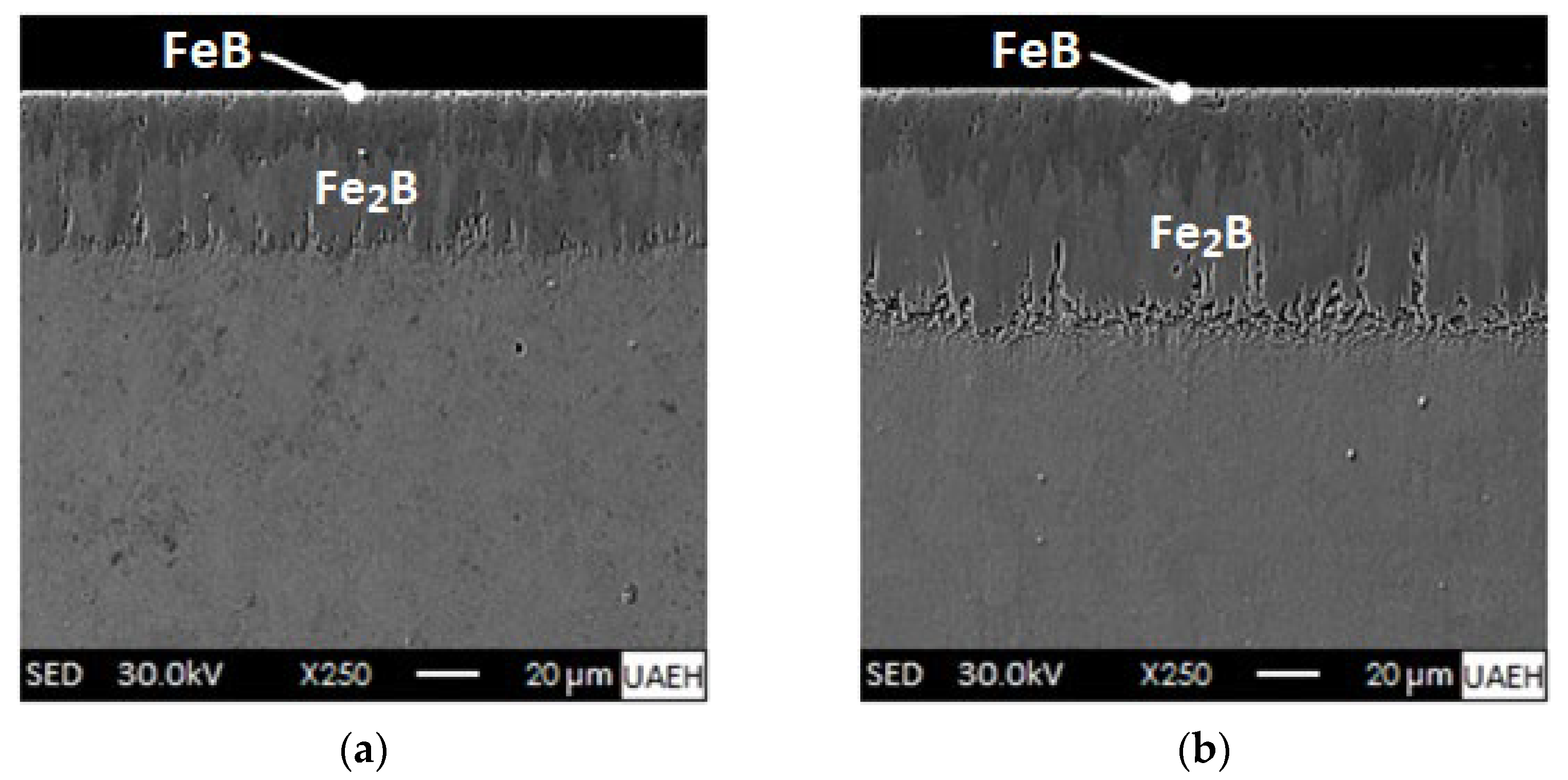 Materials 16 04801 g018