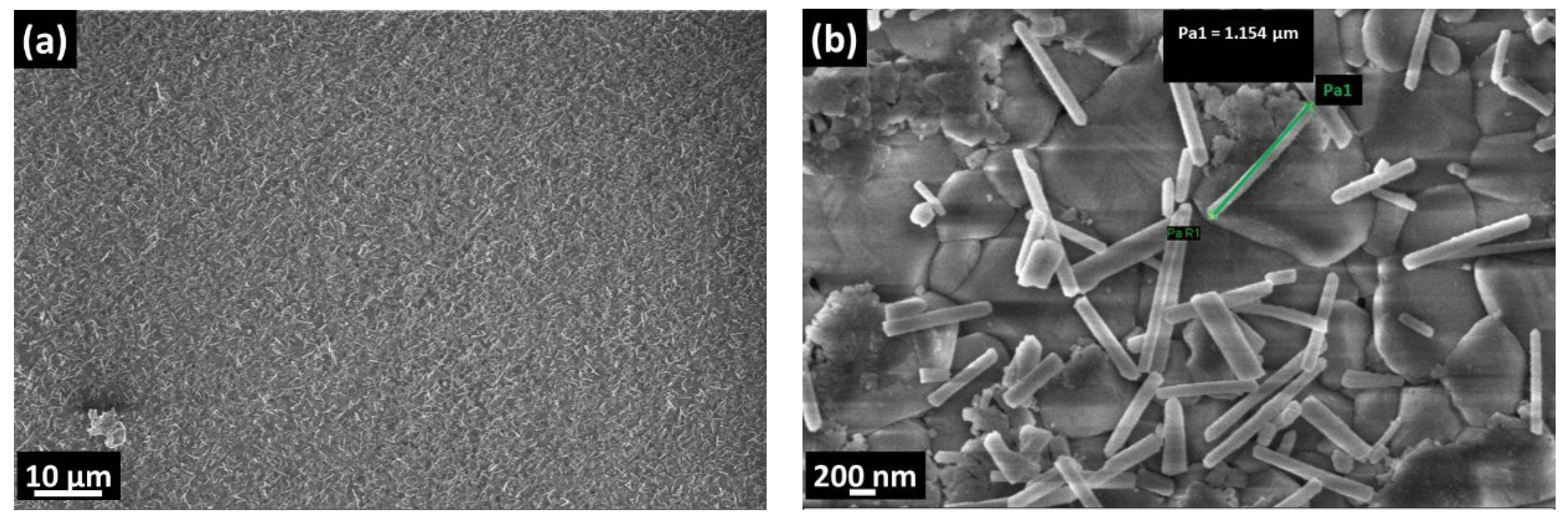 Materials 16 04802 g005