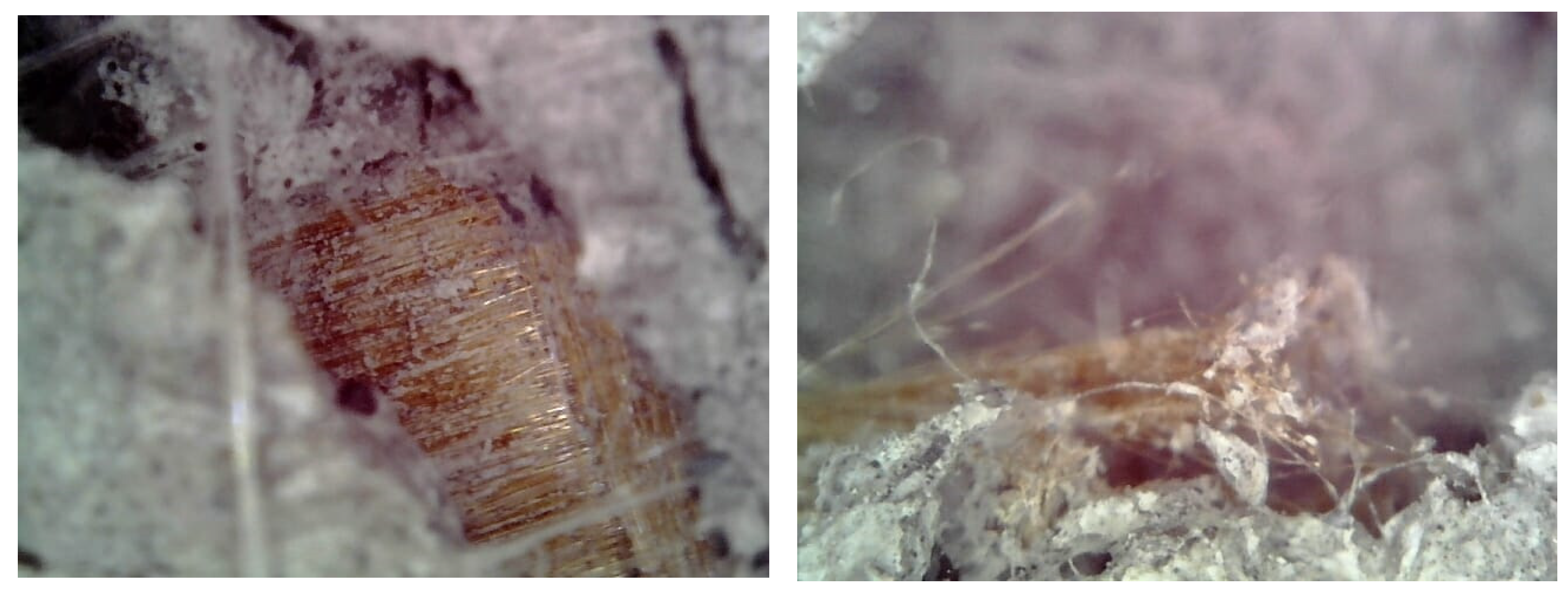 Materials 16 04812 g006