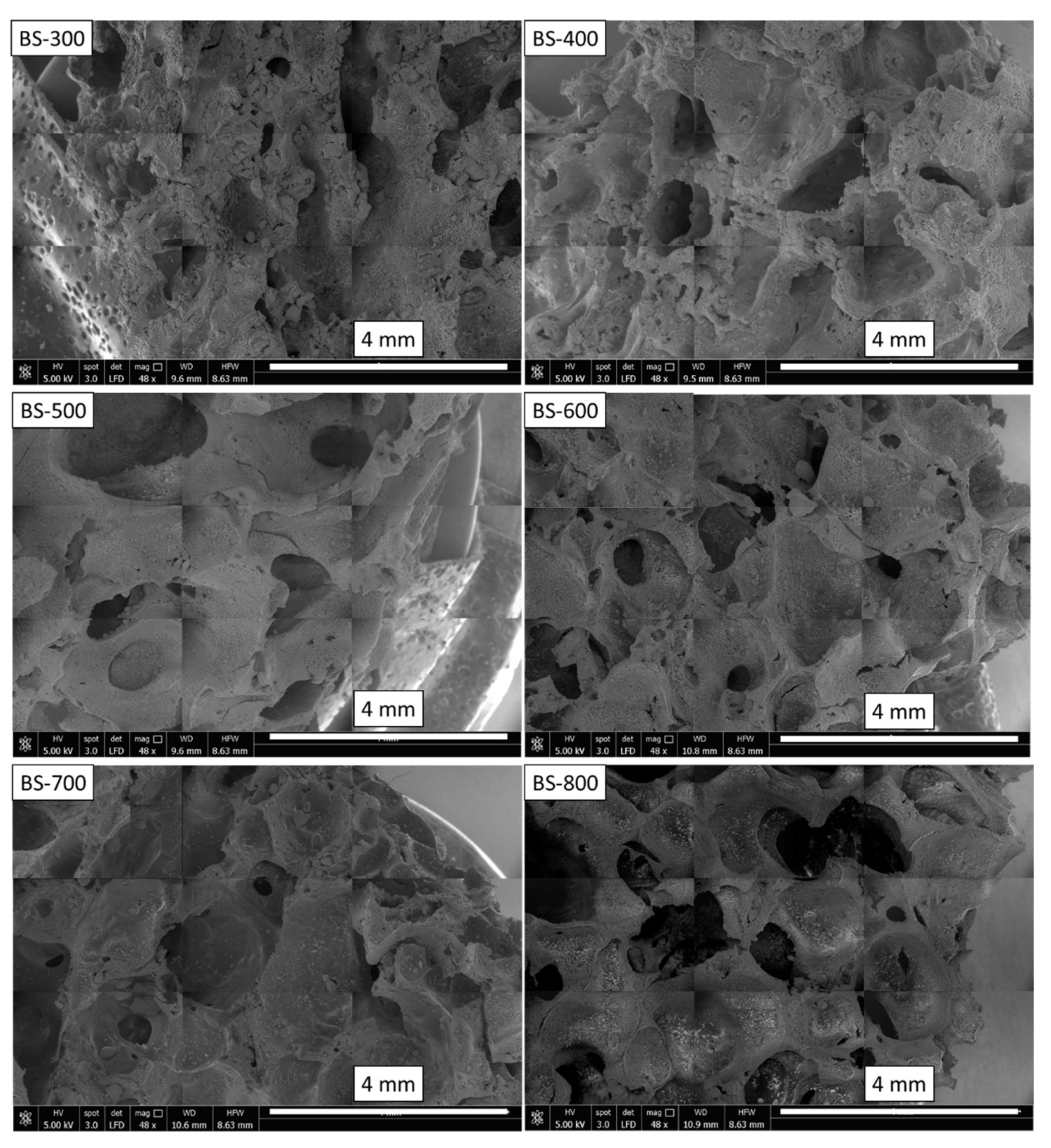 Materials 16 04818 g003