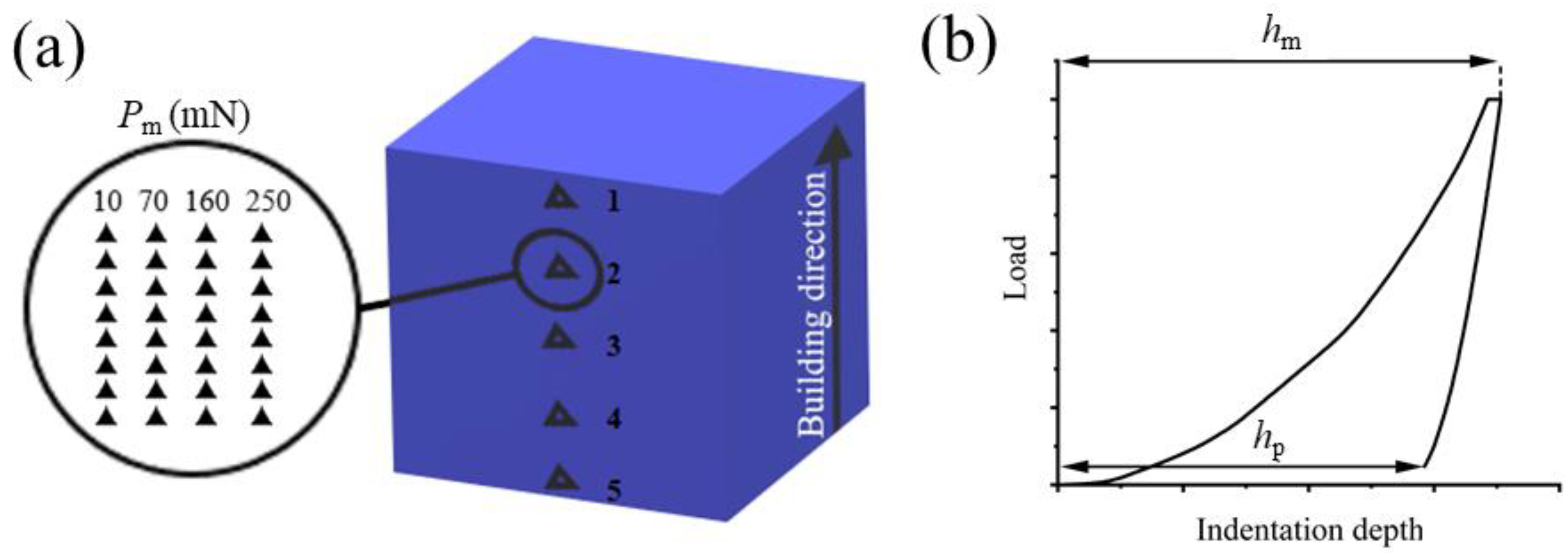 Materials 16 04821 g002