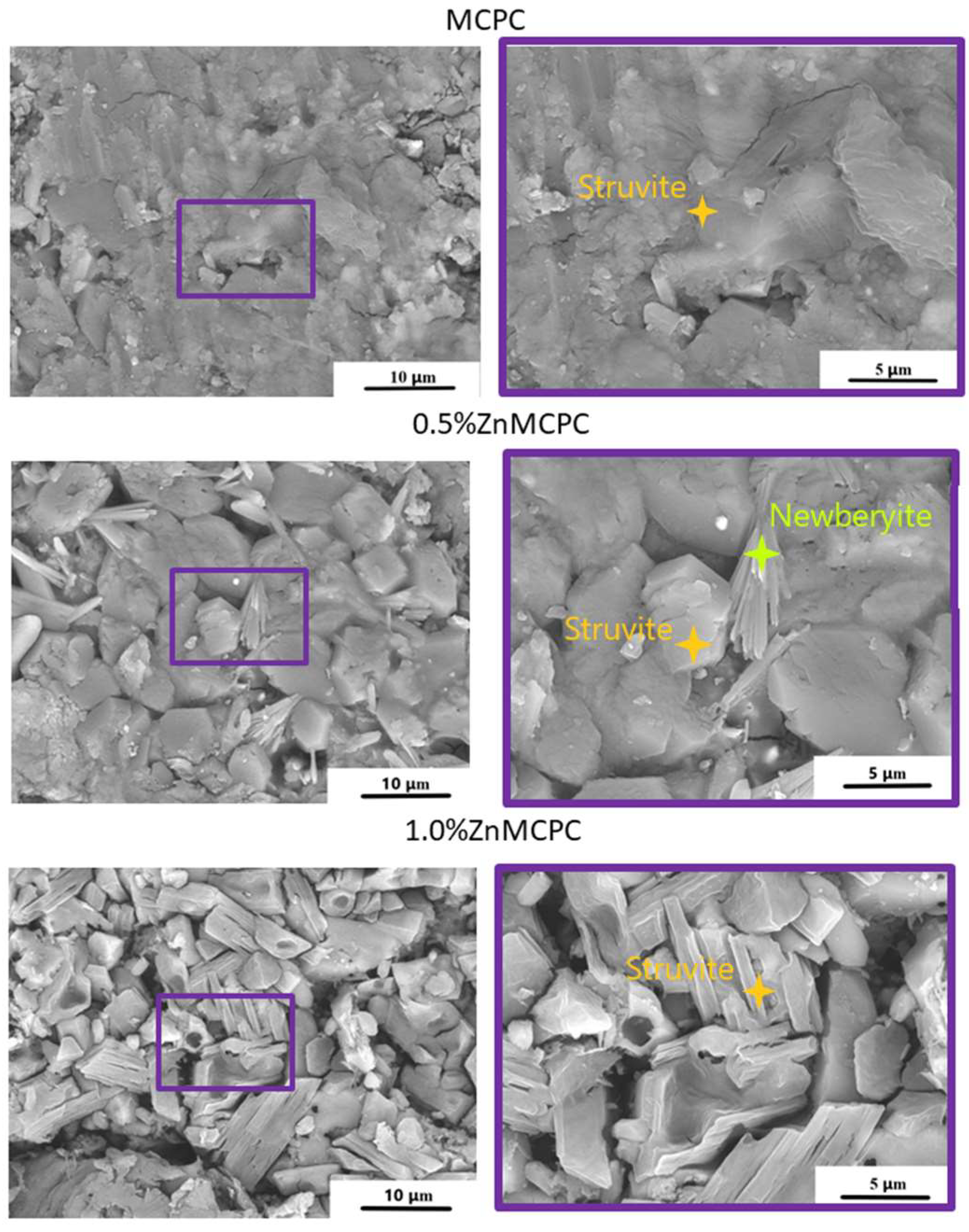 Materials 16 04824 g005