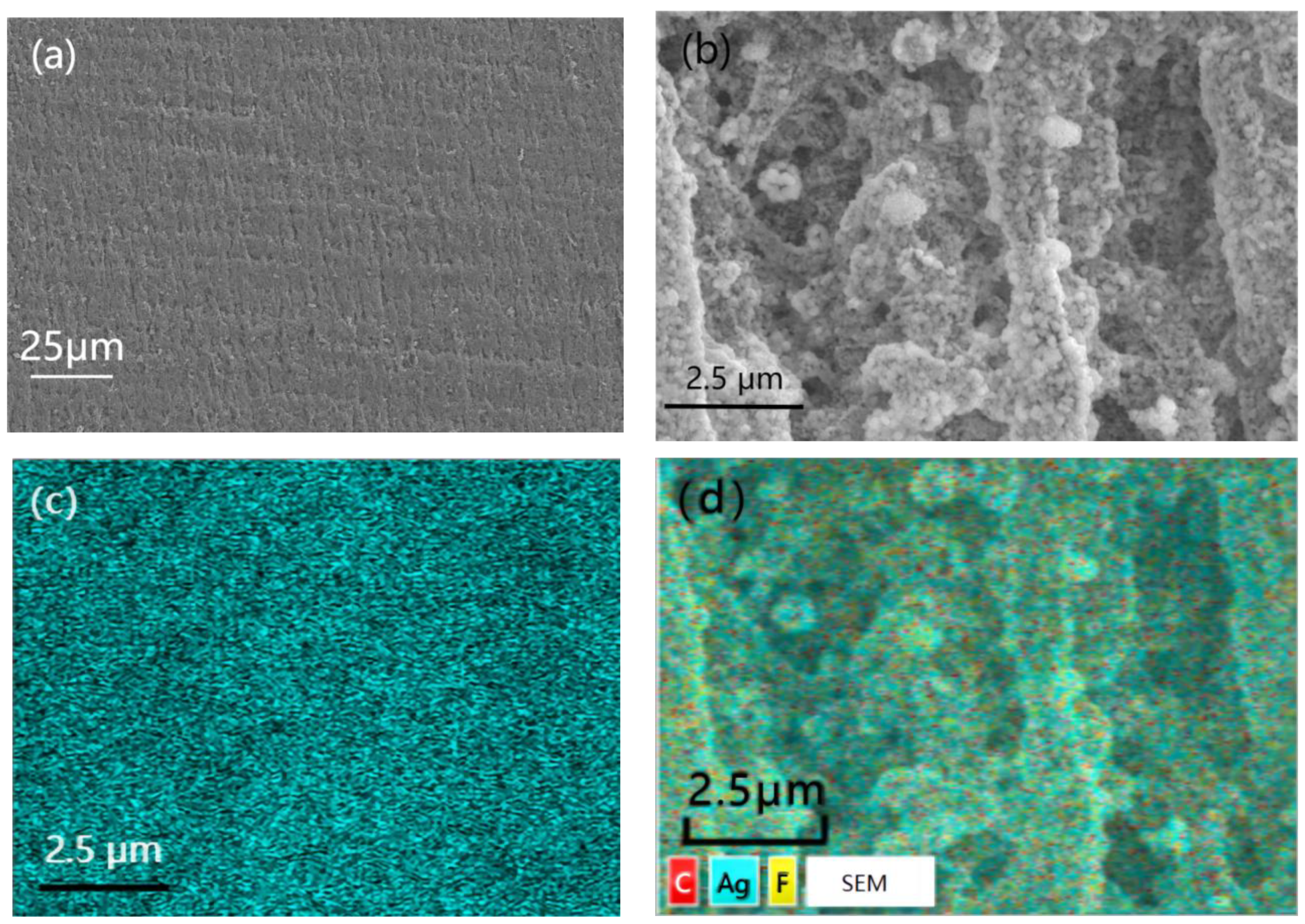 Materials 16 04831 g004