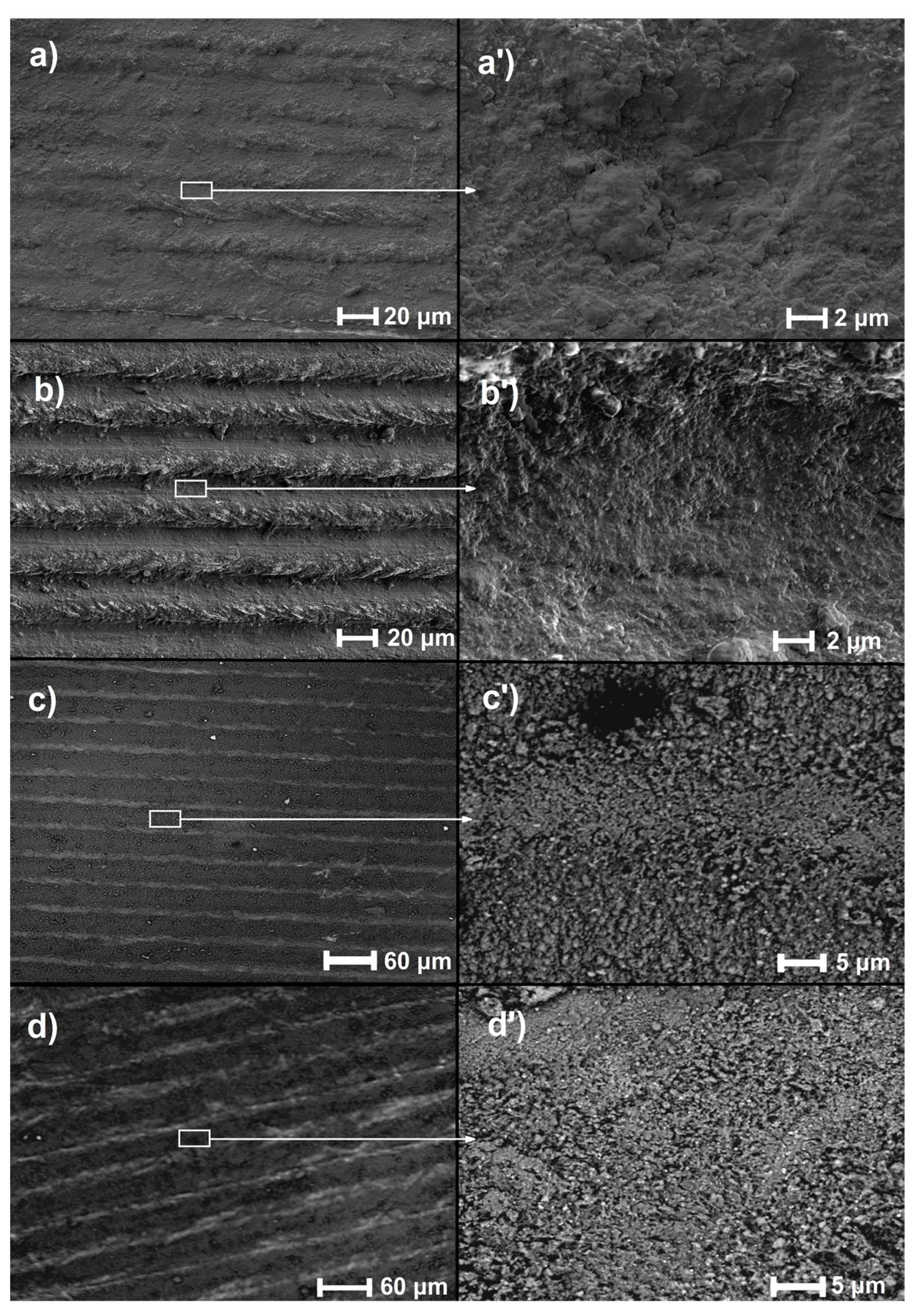 Materials 16 04834 g001