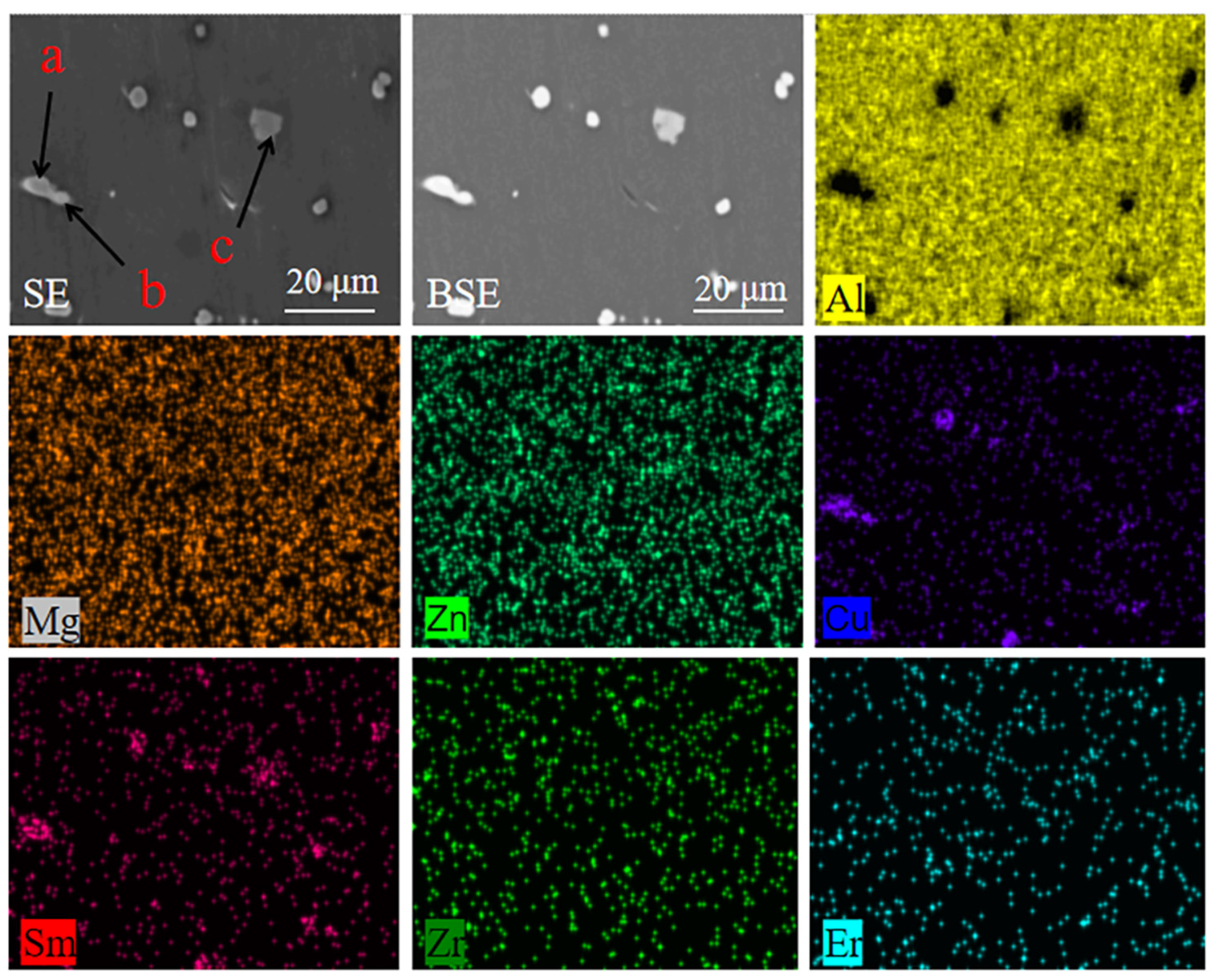 Materials 16 04846 g007