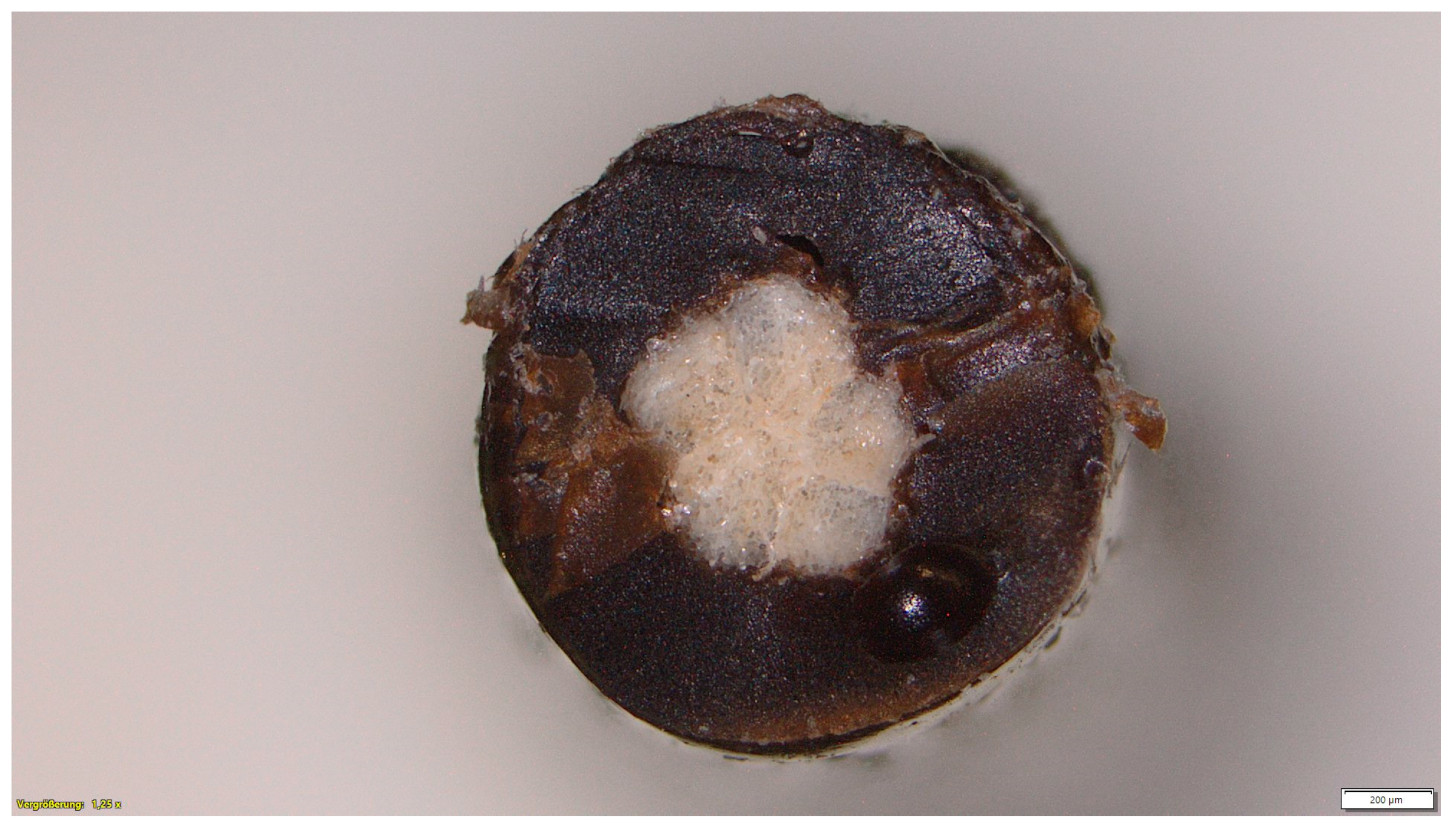 Materials 16 04849 g003