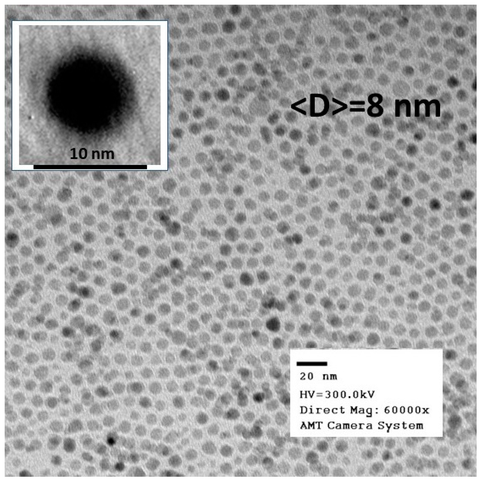 Materials 16 04850 g001