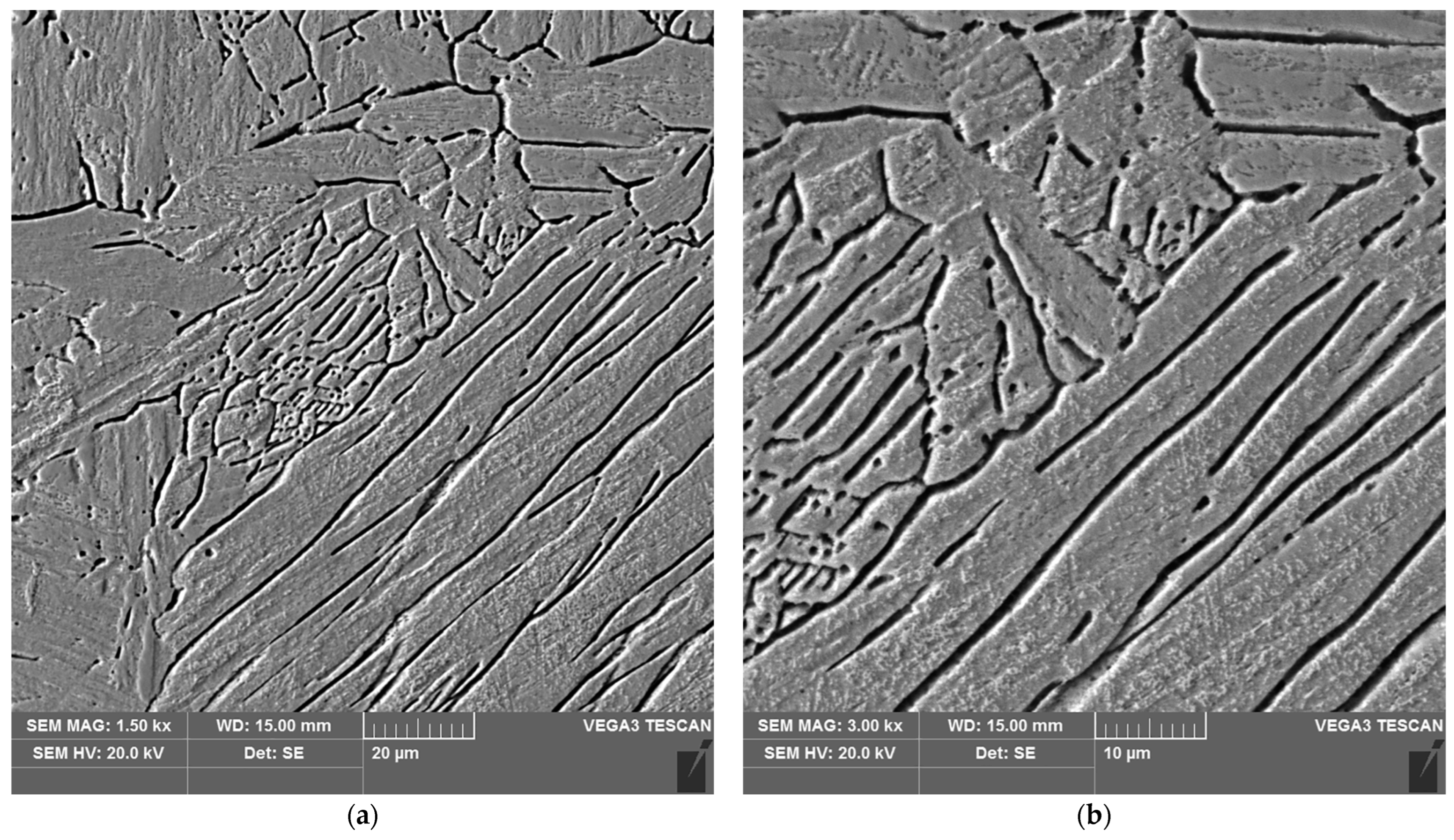 Materials 16 04854 g015