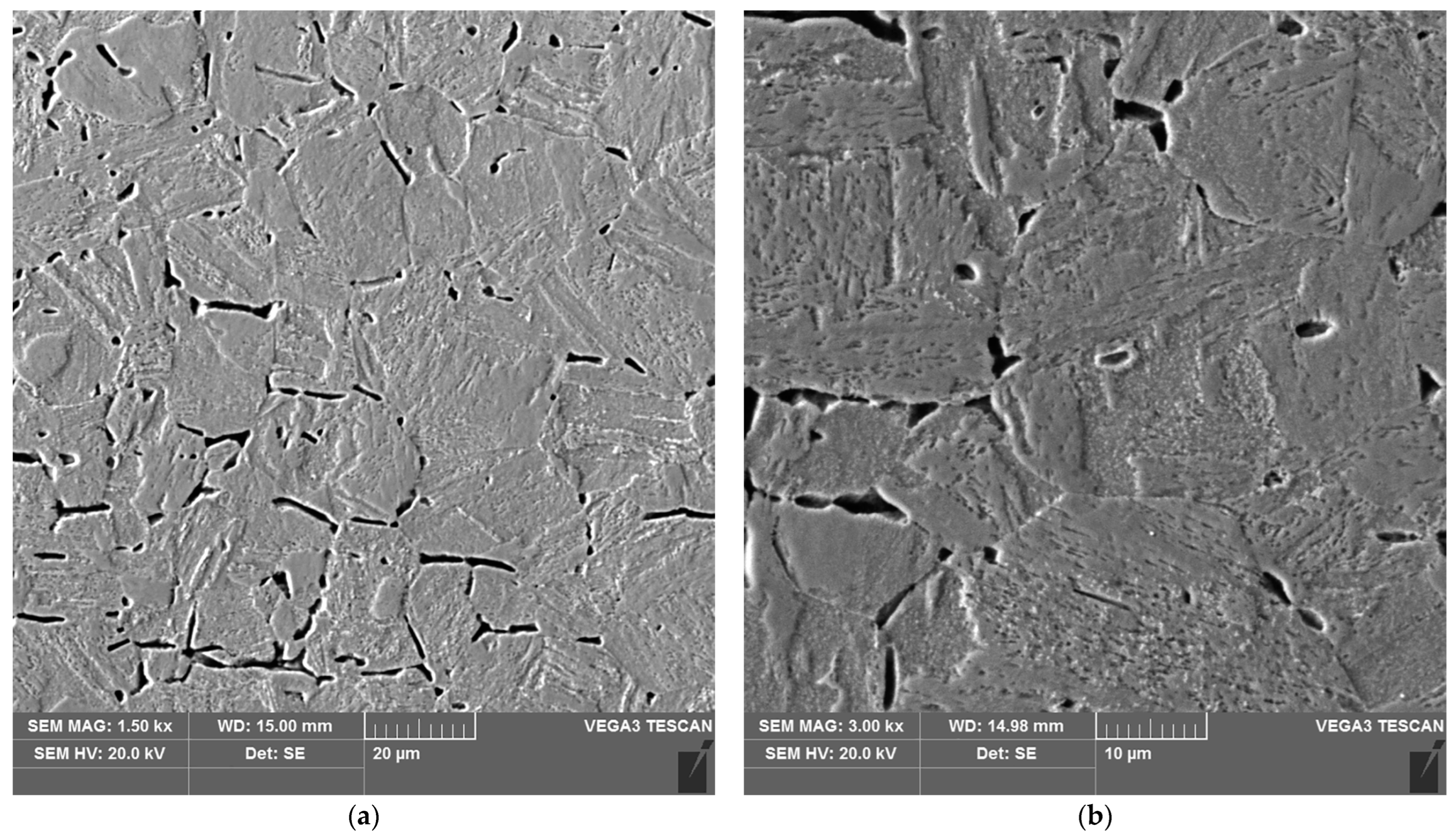 Materials 16 04854 g017