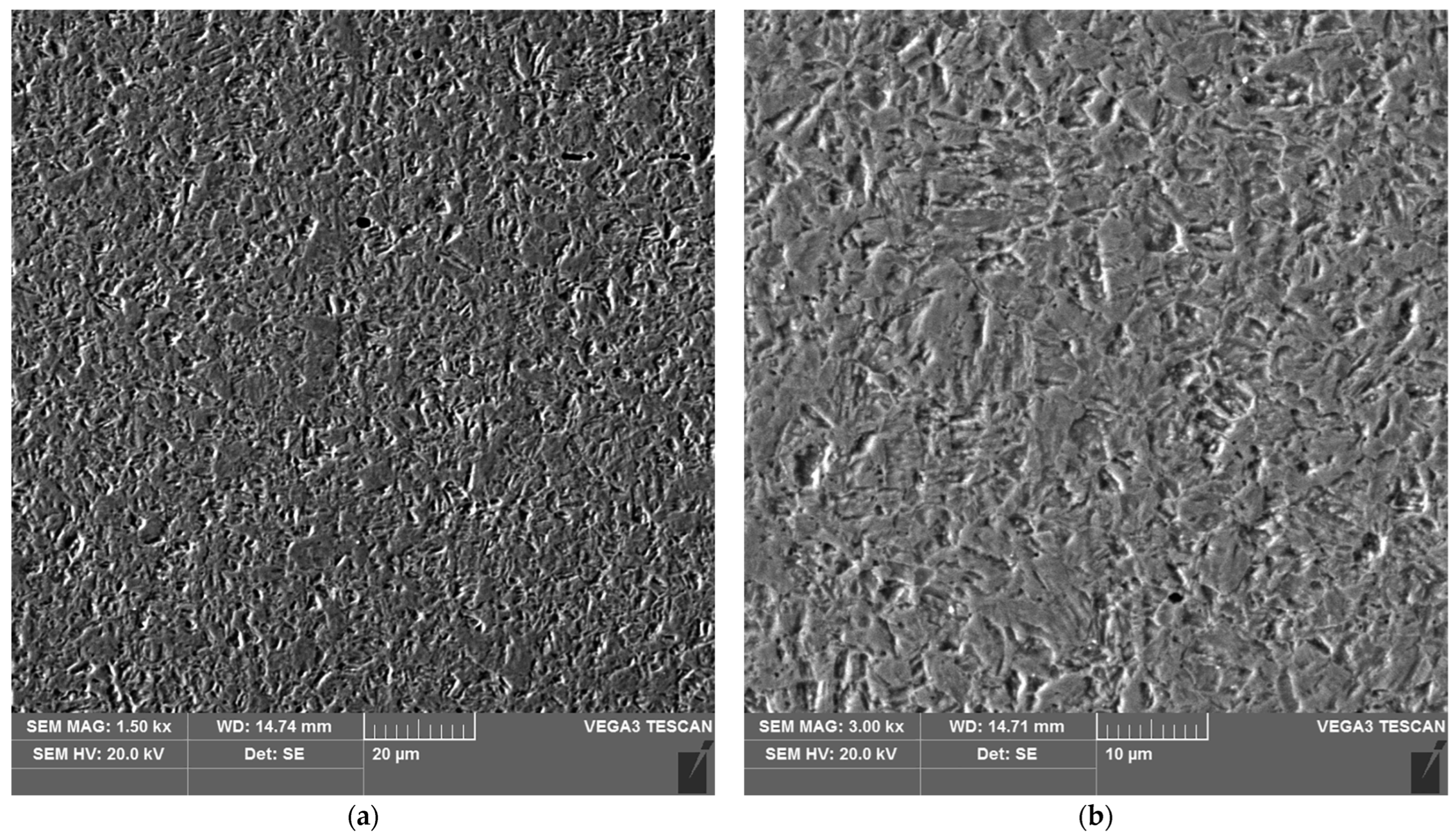 Materials 16 04854 g019