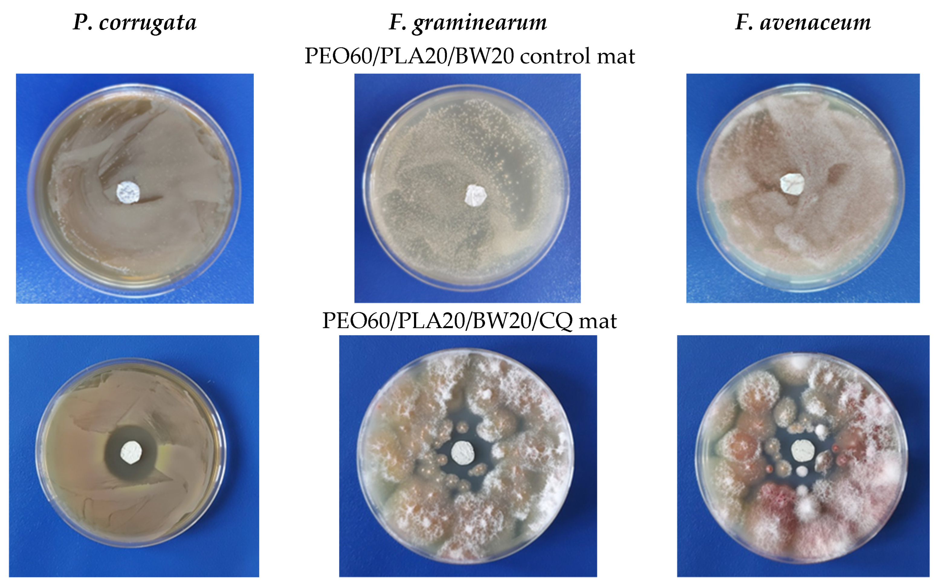 Materials 16 04882 g005