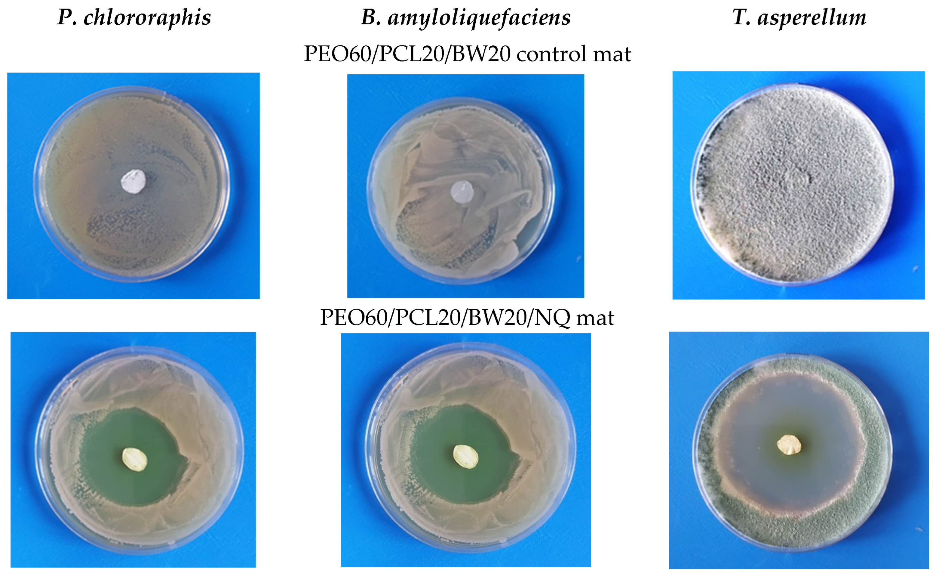 Materials 16 04882 g006