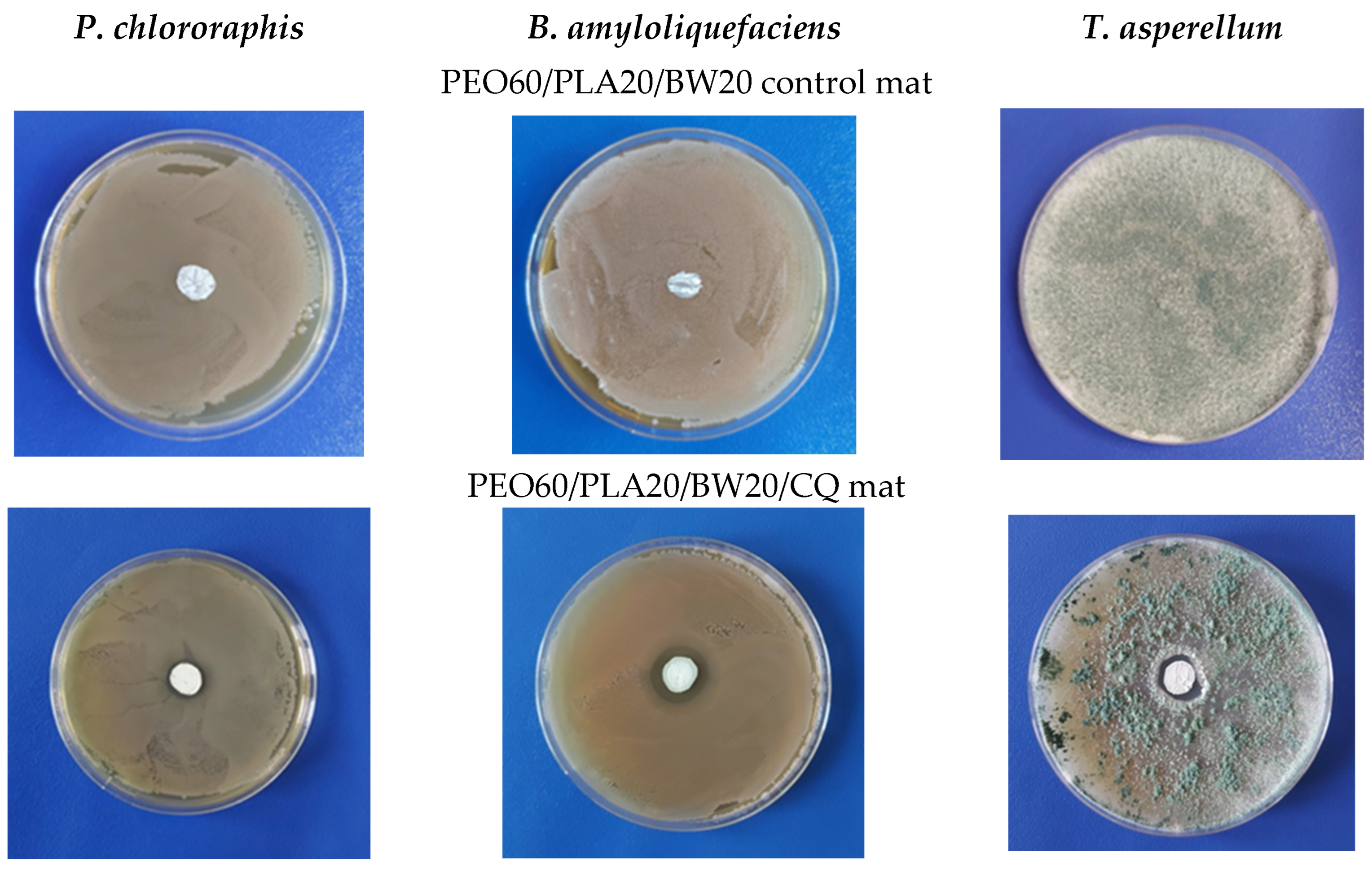 Materials 16 04882 g007