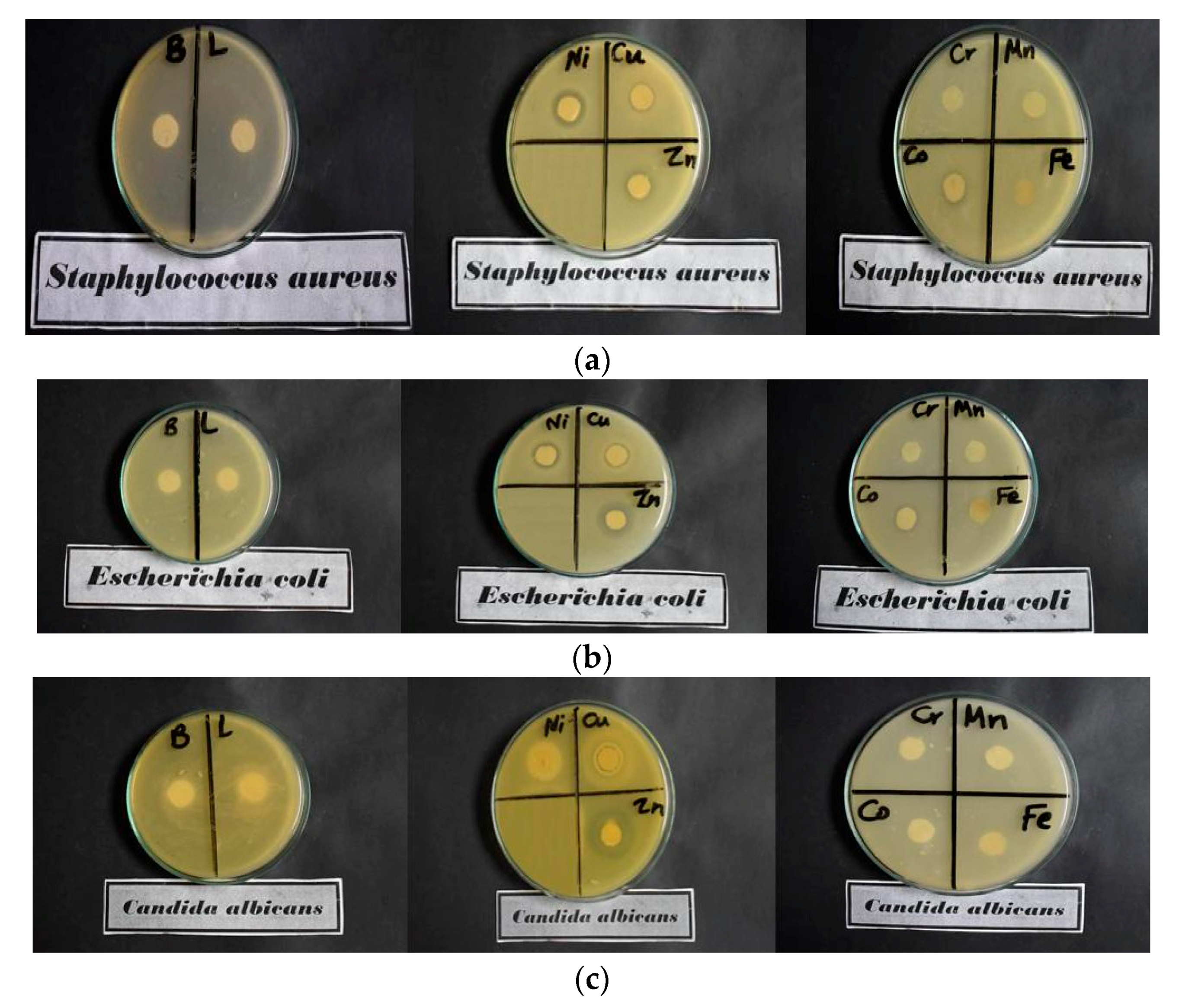 Materials 16 04885 g007a