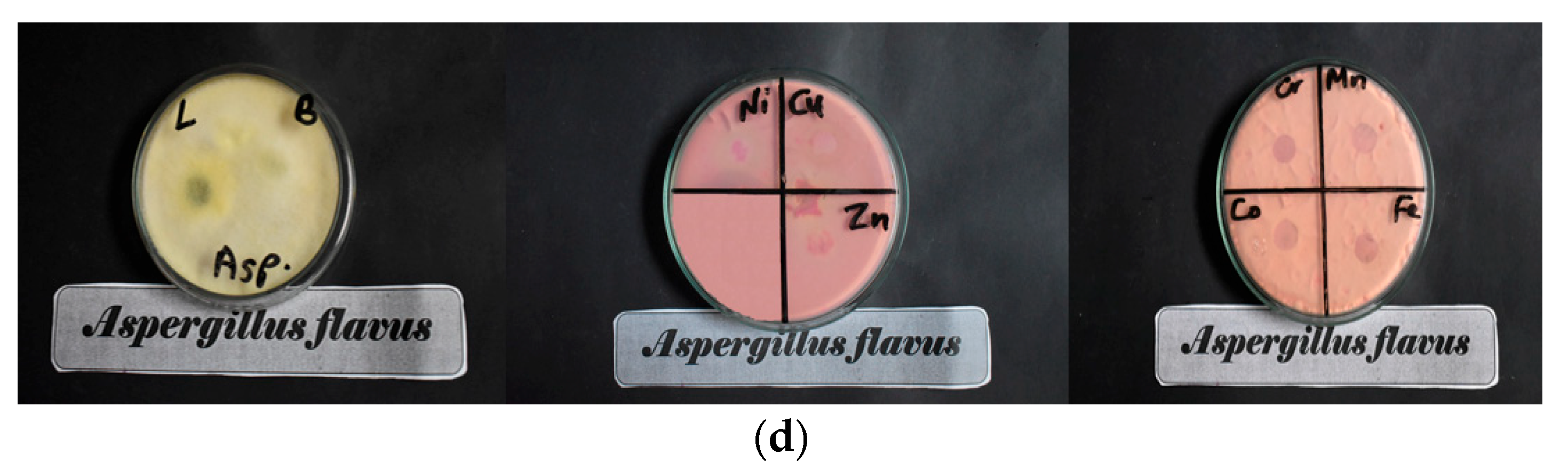 Materials 16 04885 g007b