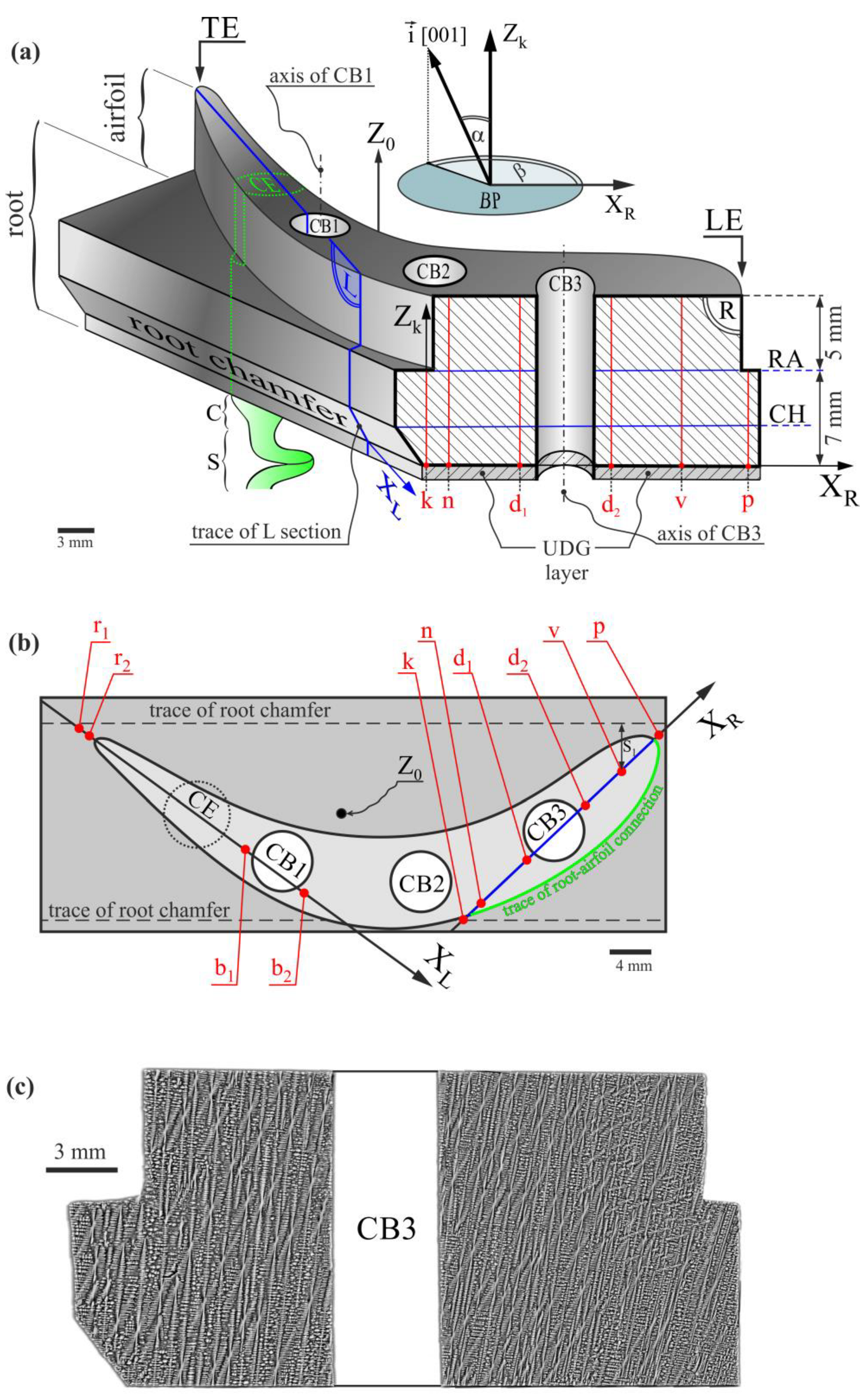 Materials 16 04892 g001