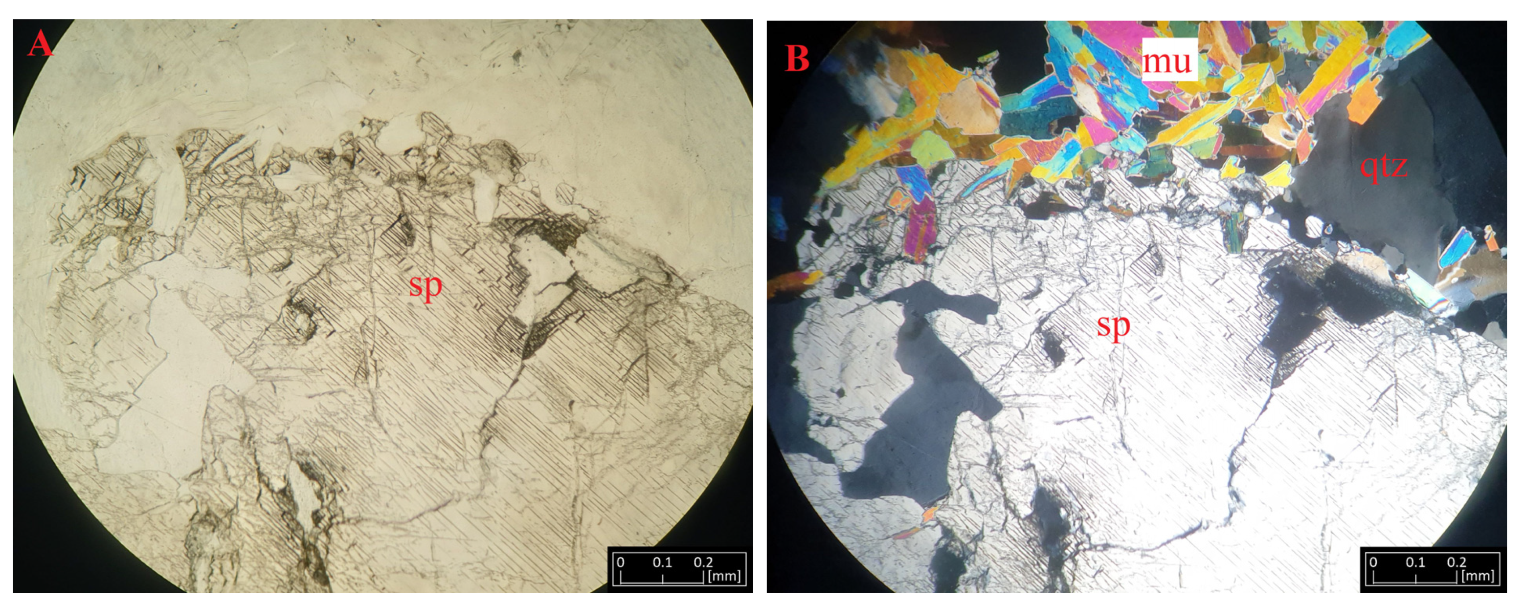 Materials 16 04894 g005