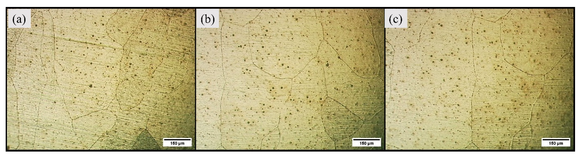 Materials 16 04902 g003