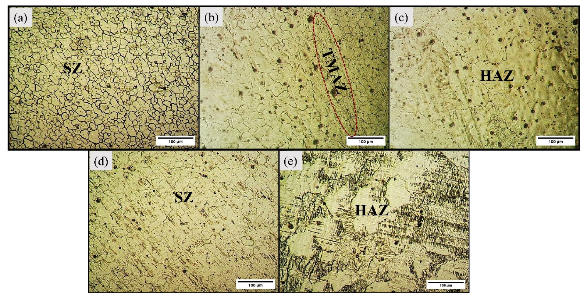 Materials 16 04902 g004