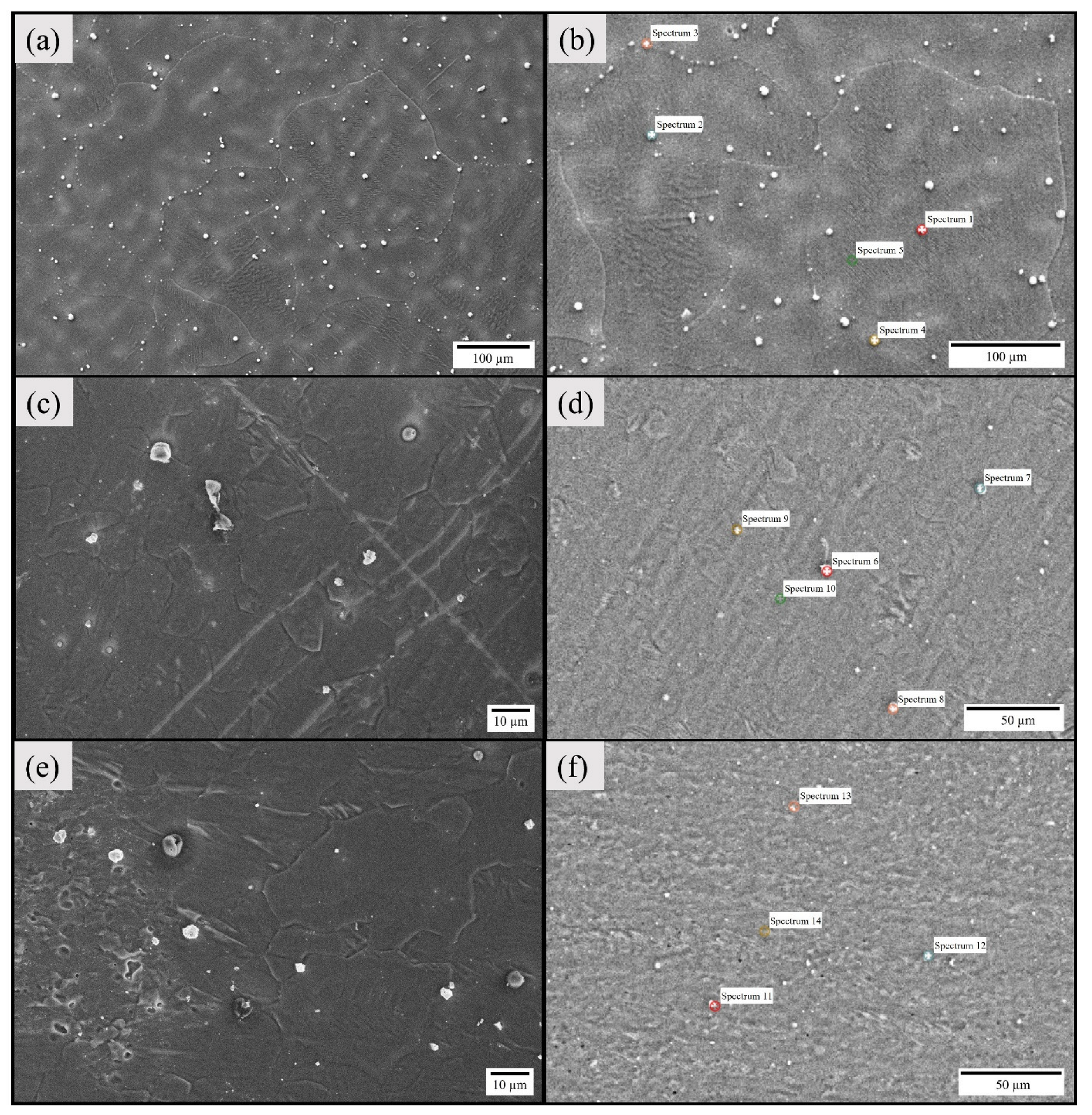 Materials 16 04902 g005