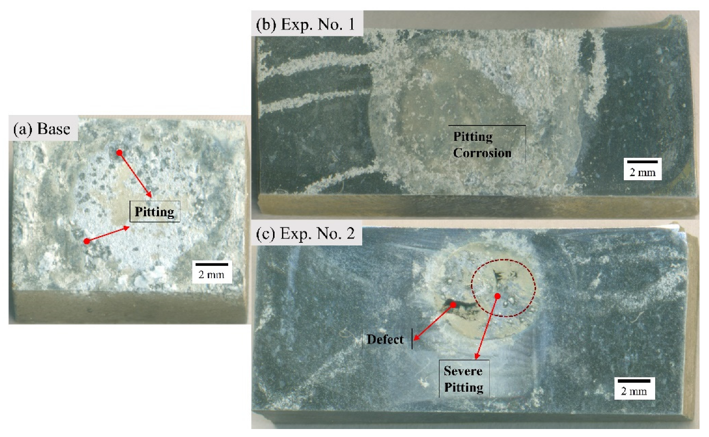 Materials 16 04902 g006