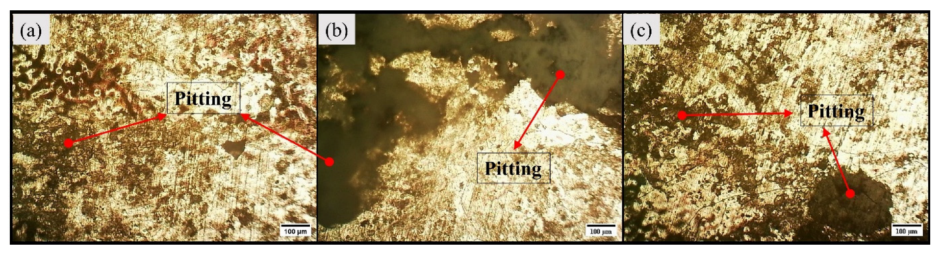 Materials 16 04902 g007