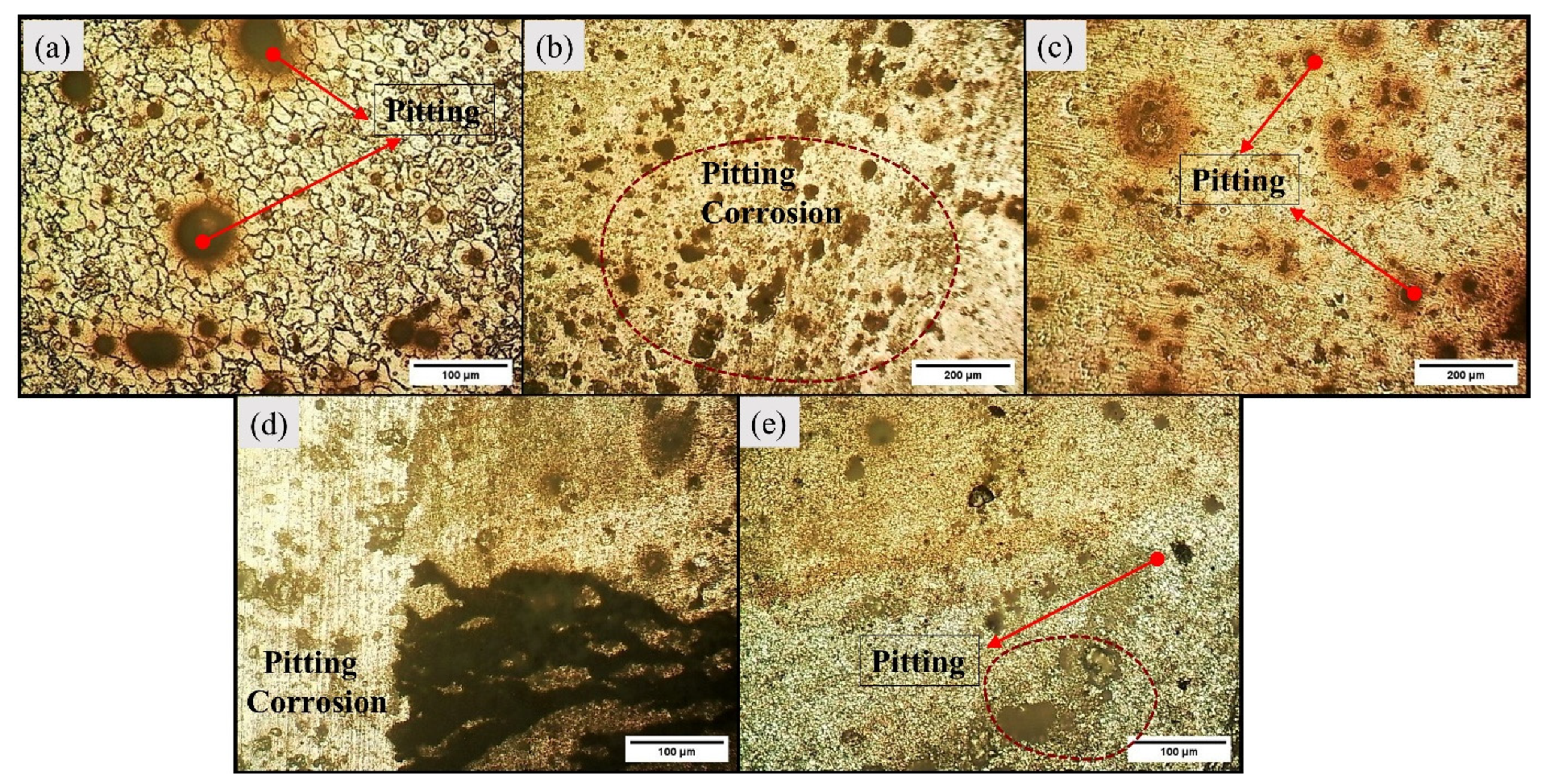 Materials 16 04902 g008