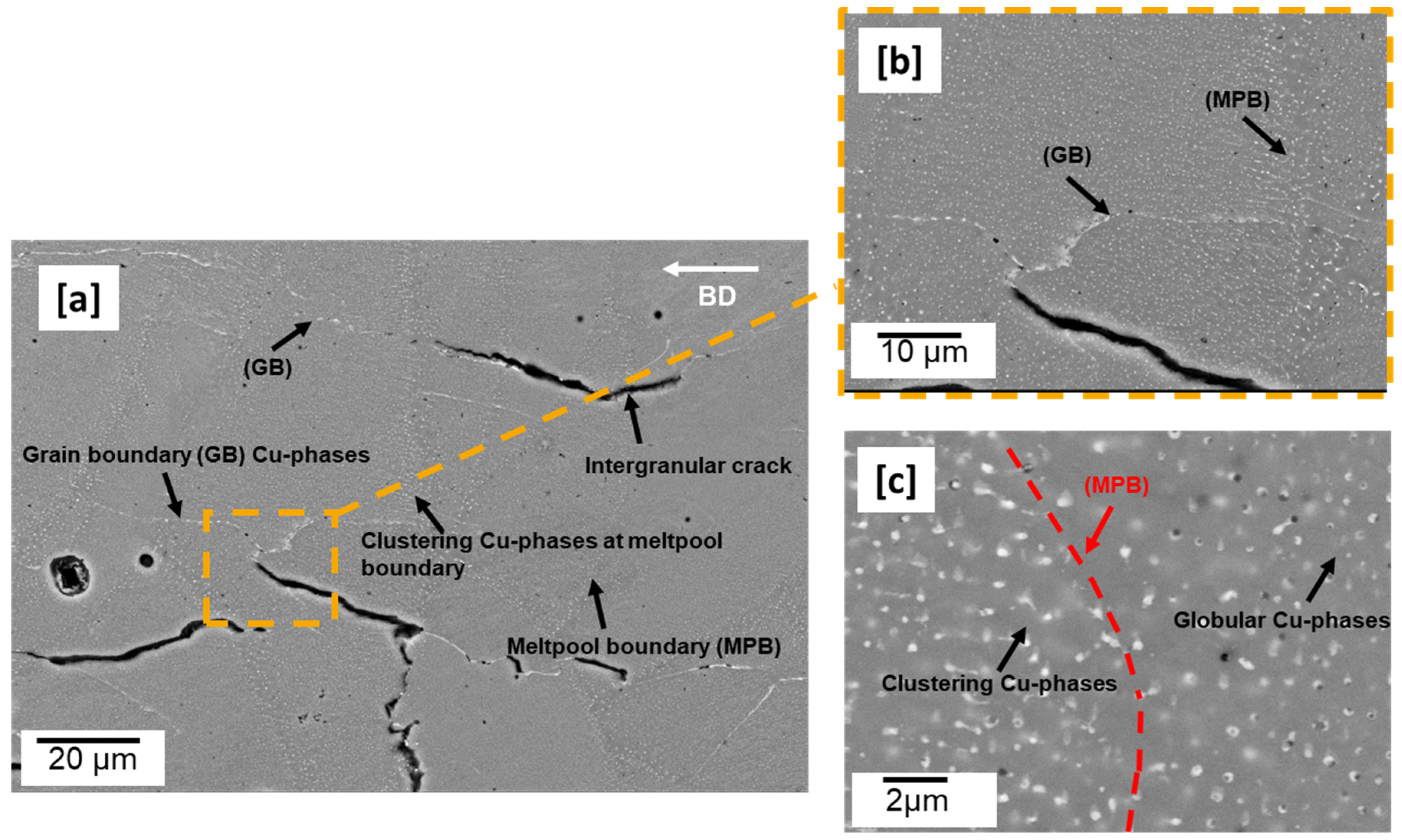 Materials 16 04916 g001
