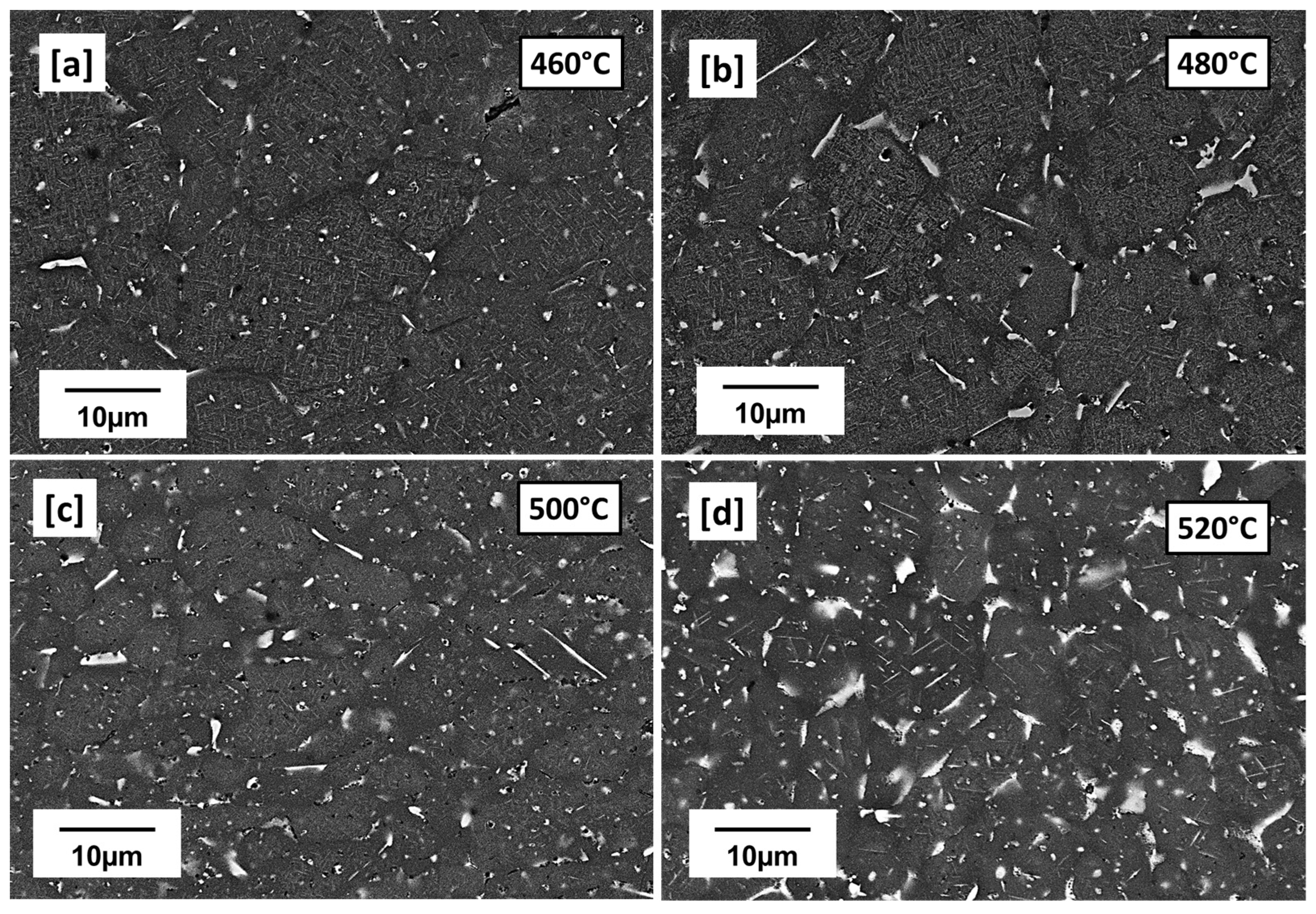 Materials 16 04916 g004