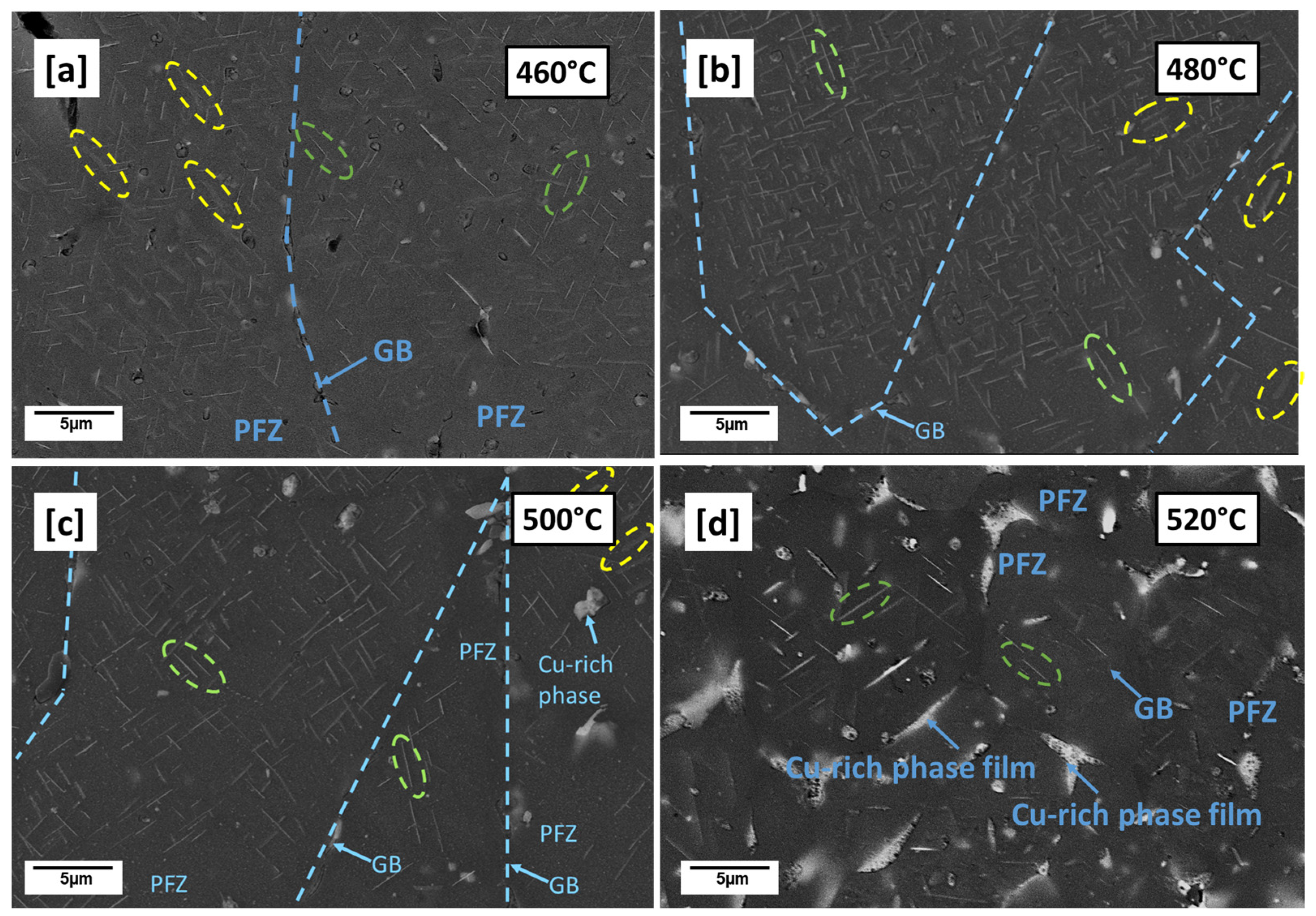 Materials 16 04916 g005