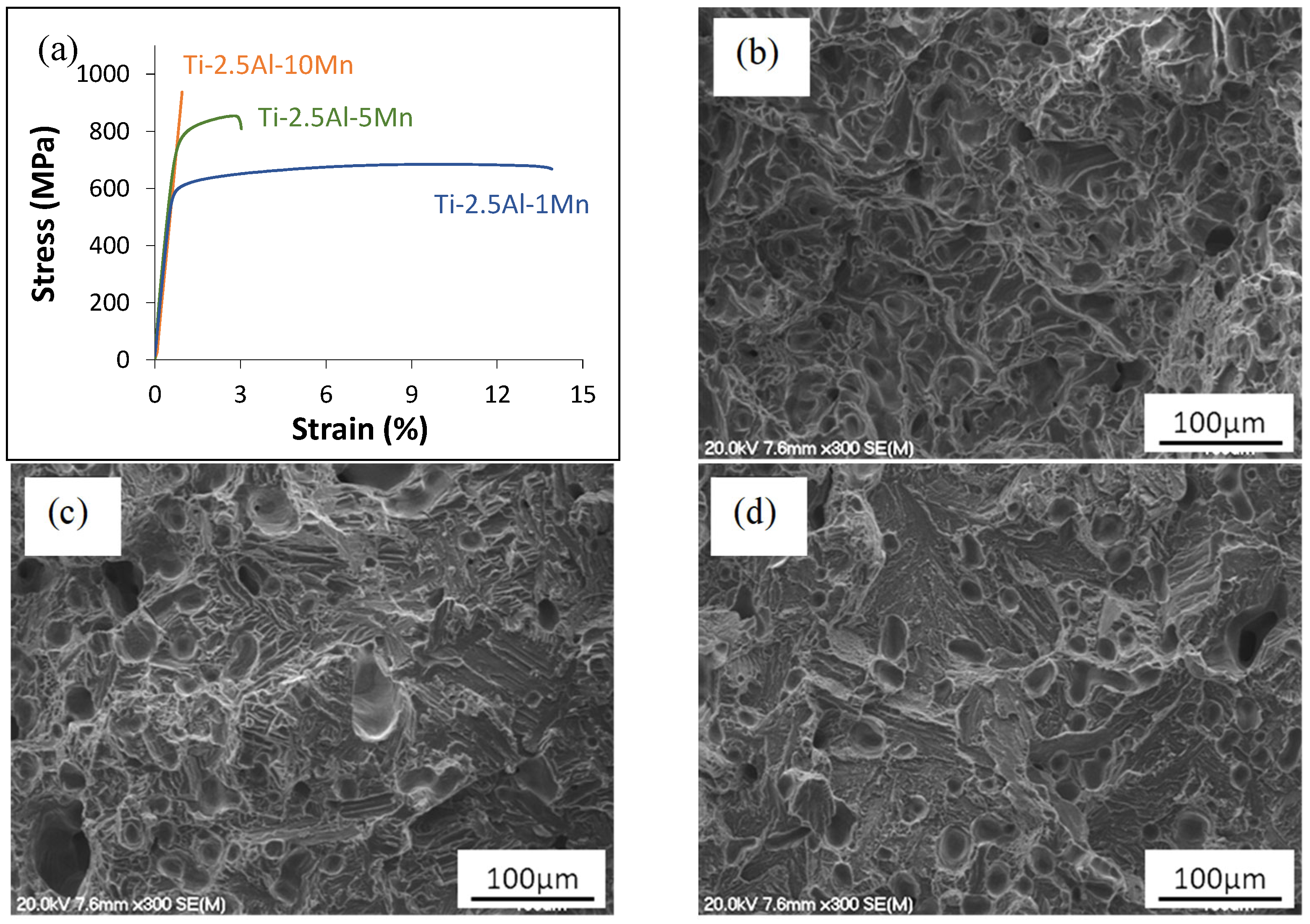 Materials 16 04917 g005 Materials 16 04917 g005