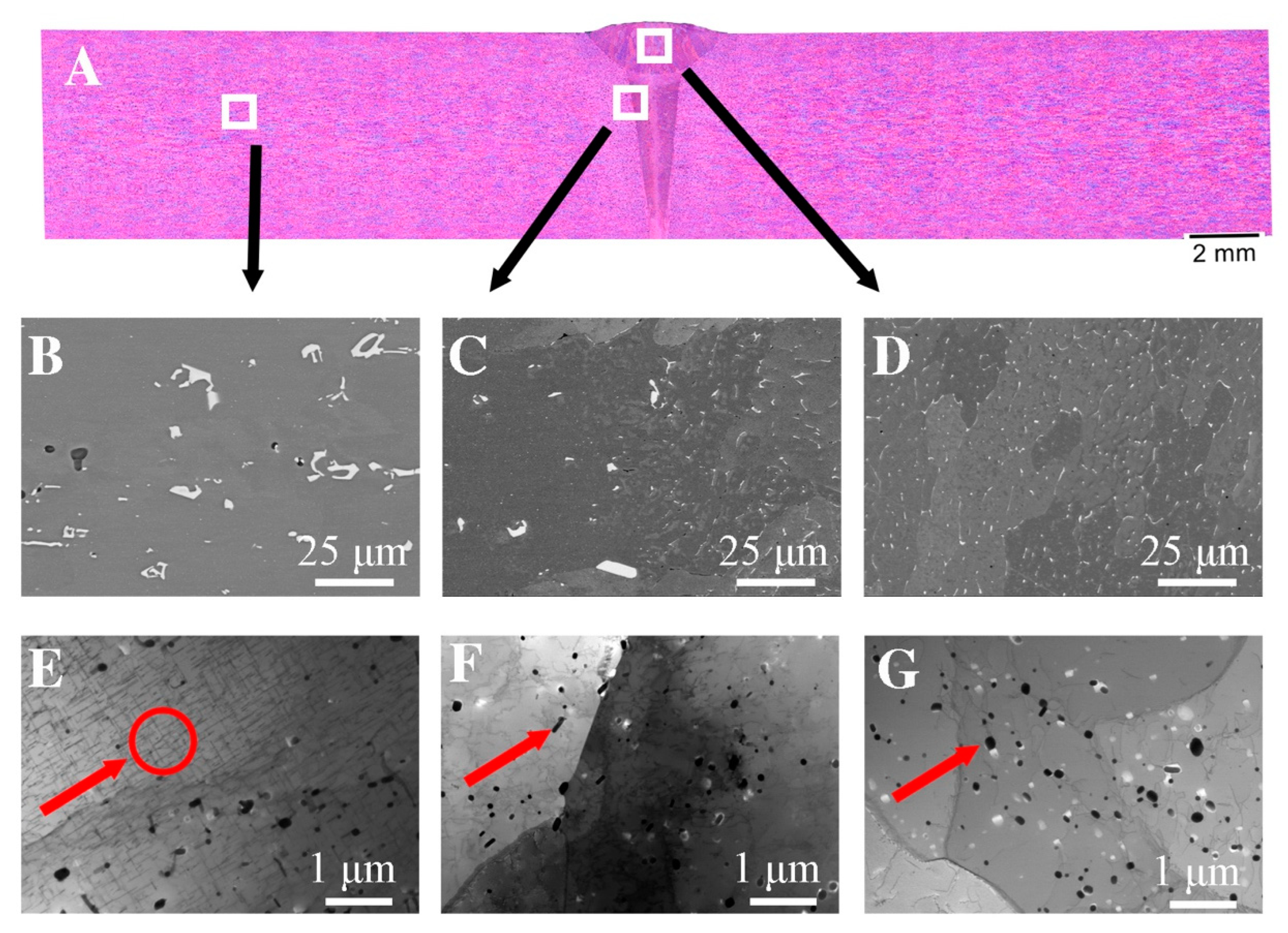 Materials 16 04937 g004 Materials 16 04937 g004