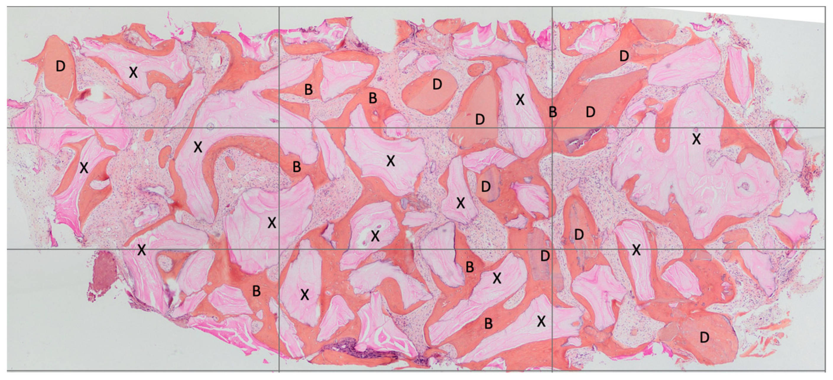 Materials 16 04945 g003 Materials 16 04945 g003