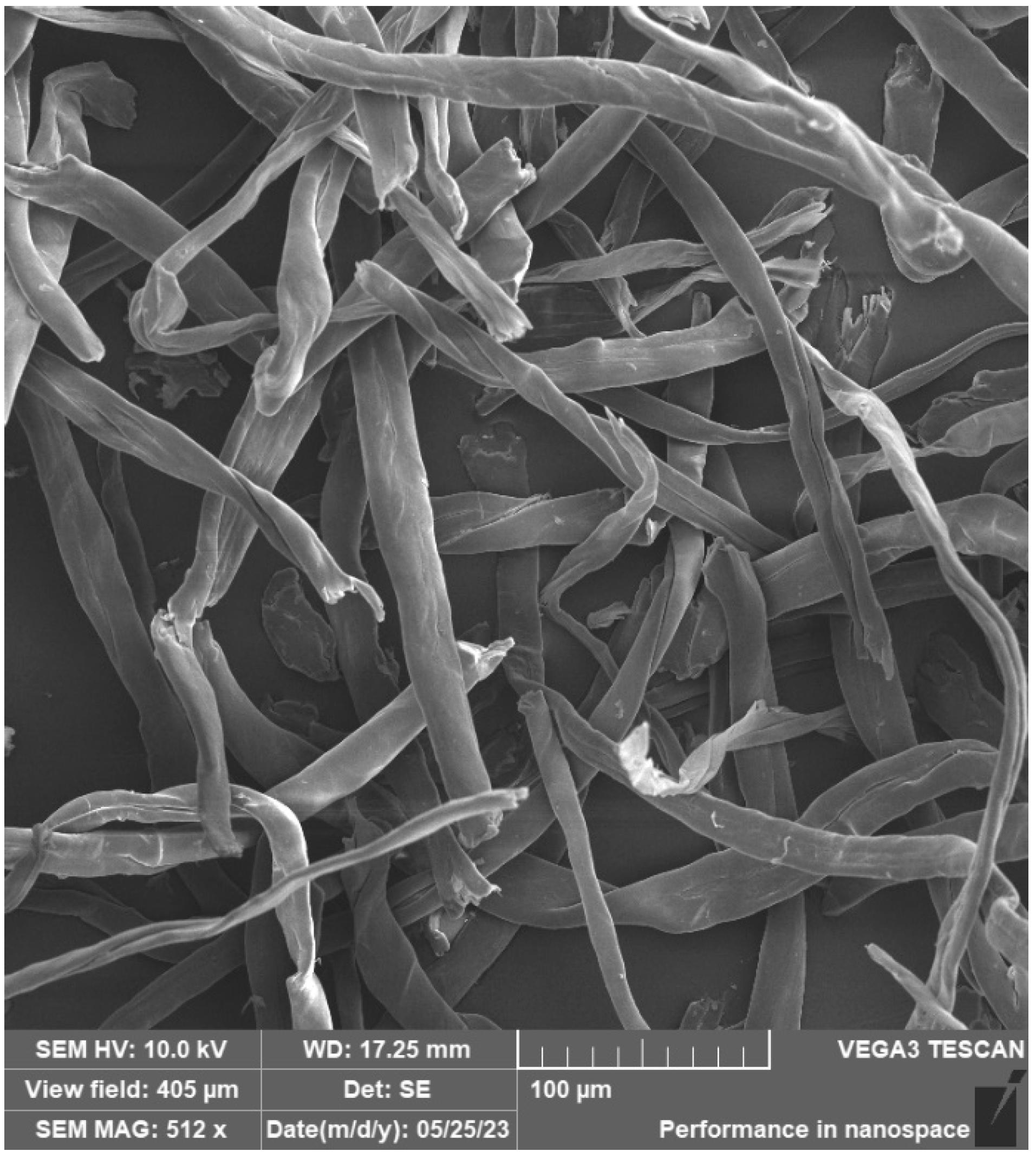 Materials 16 04955 g015 Materials 16 04955 g015