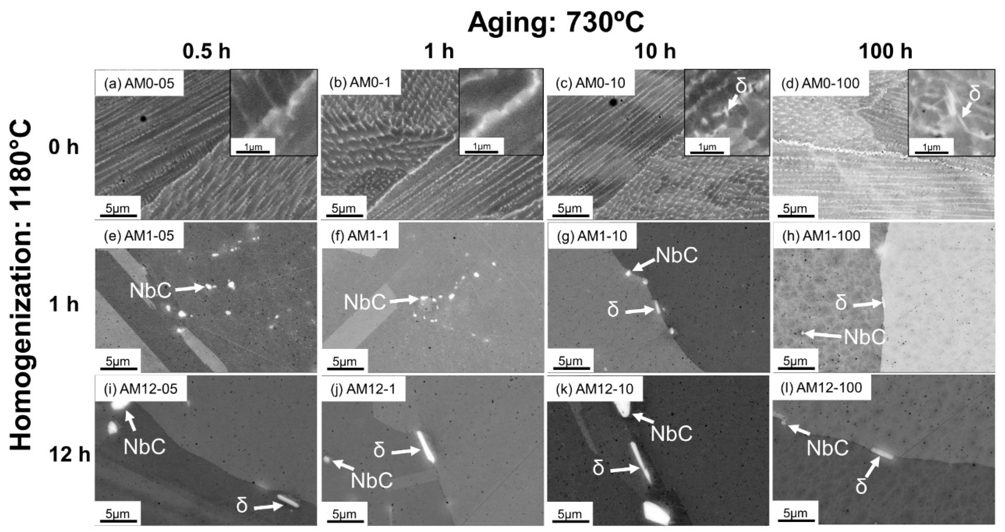 Materials 16 04968 g002 Materials 16 04968 g002