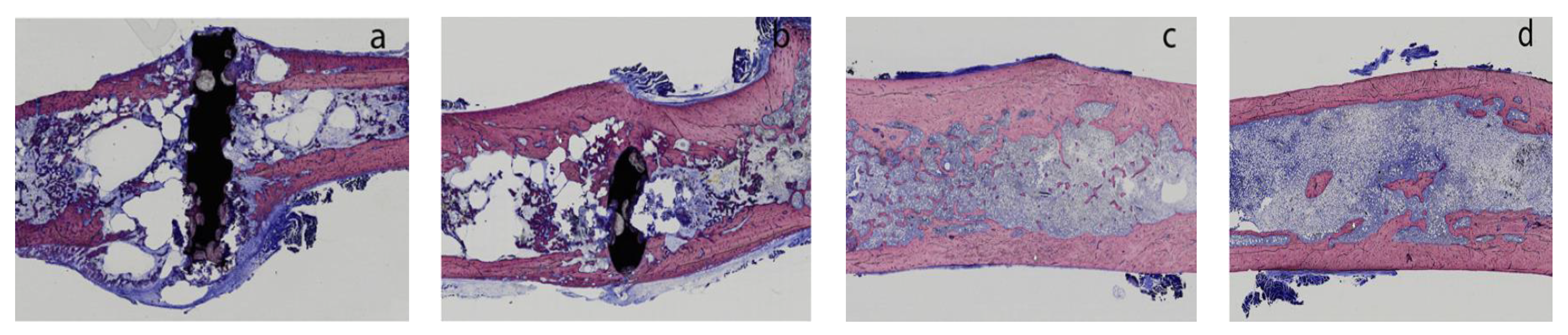 Materials 16 04984 g001