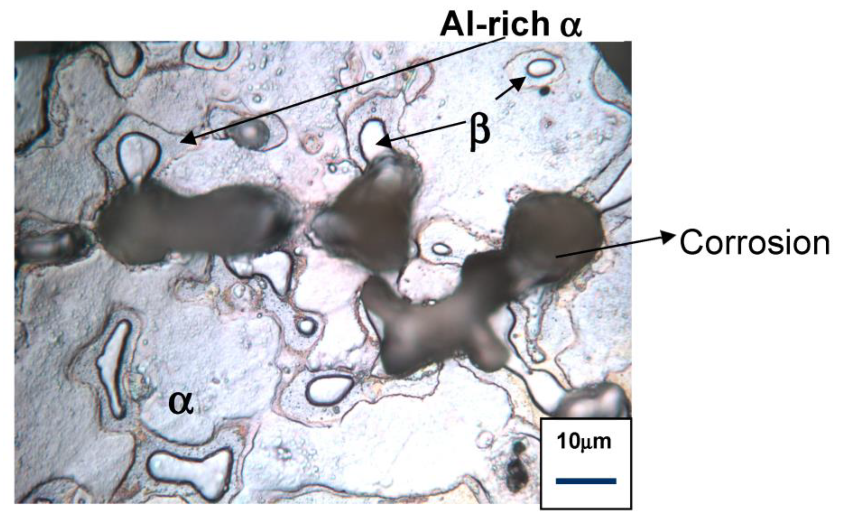 Materials 16 04984 g002