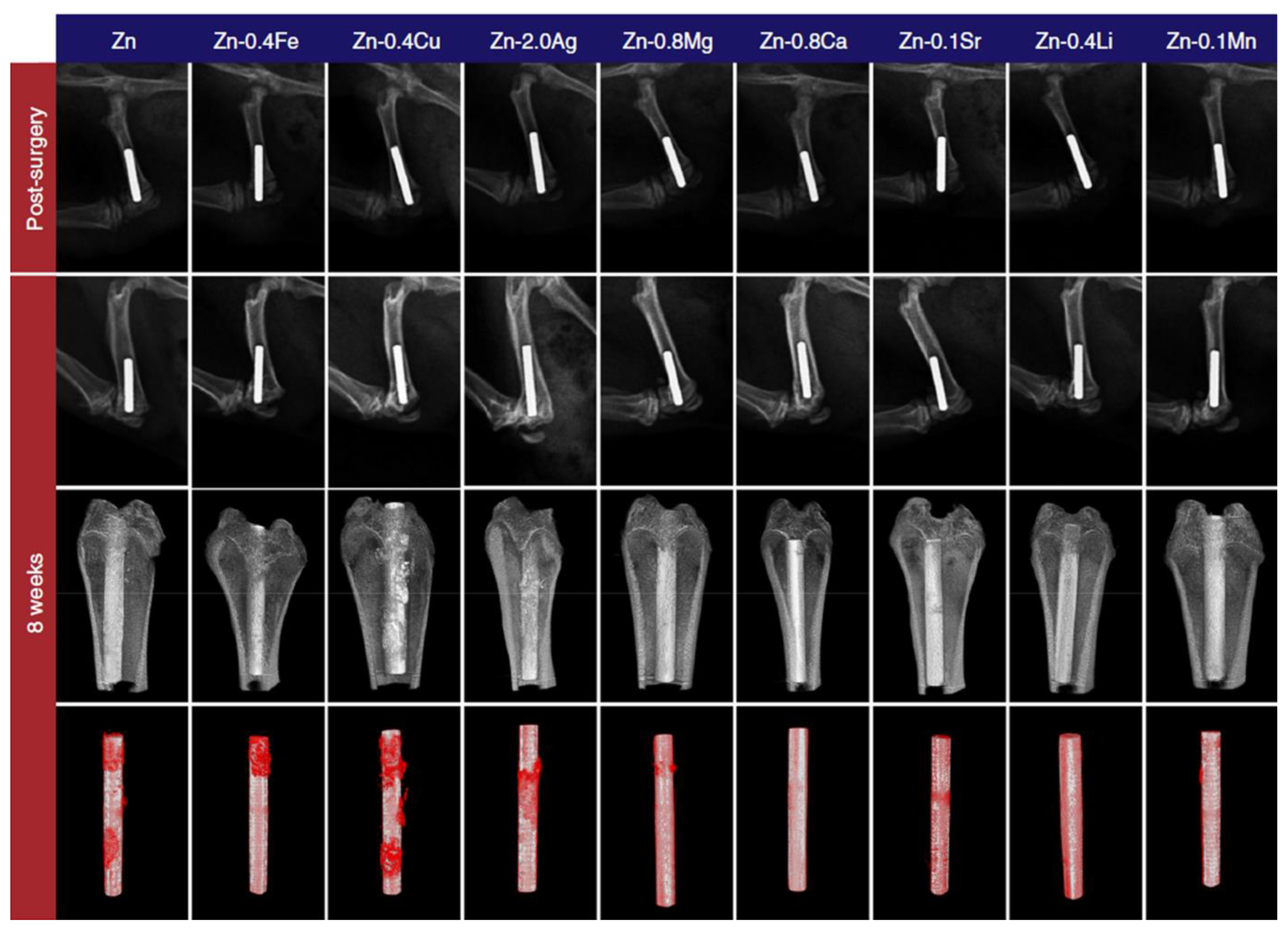 Materials 16 04984 g005