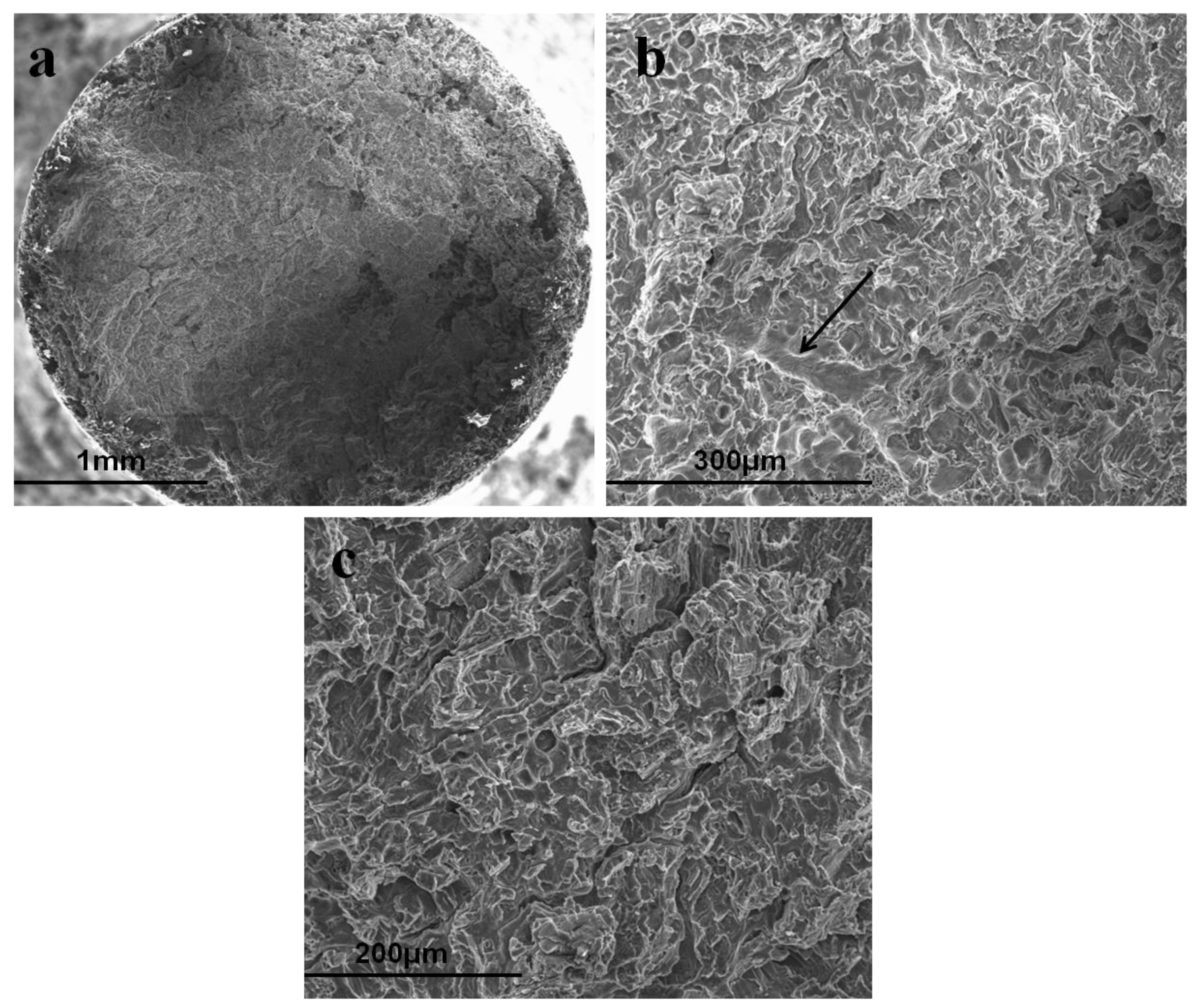 Materials 16 04984 g006