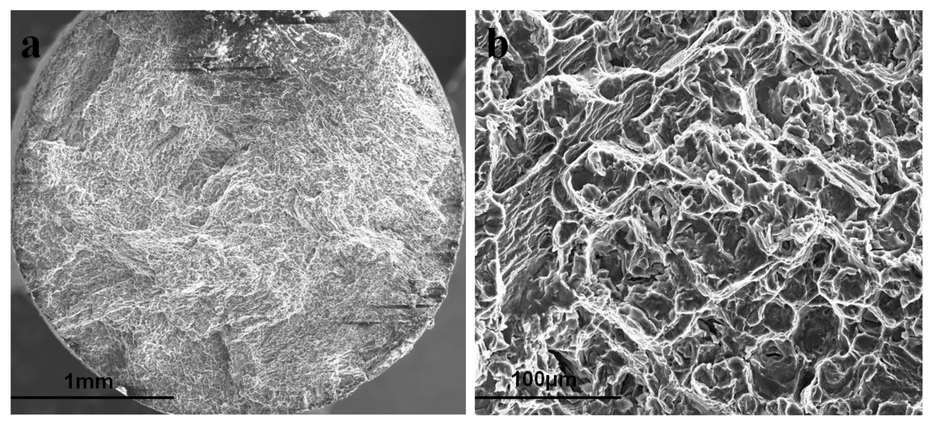 Materials 16 04984 g007