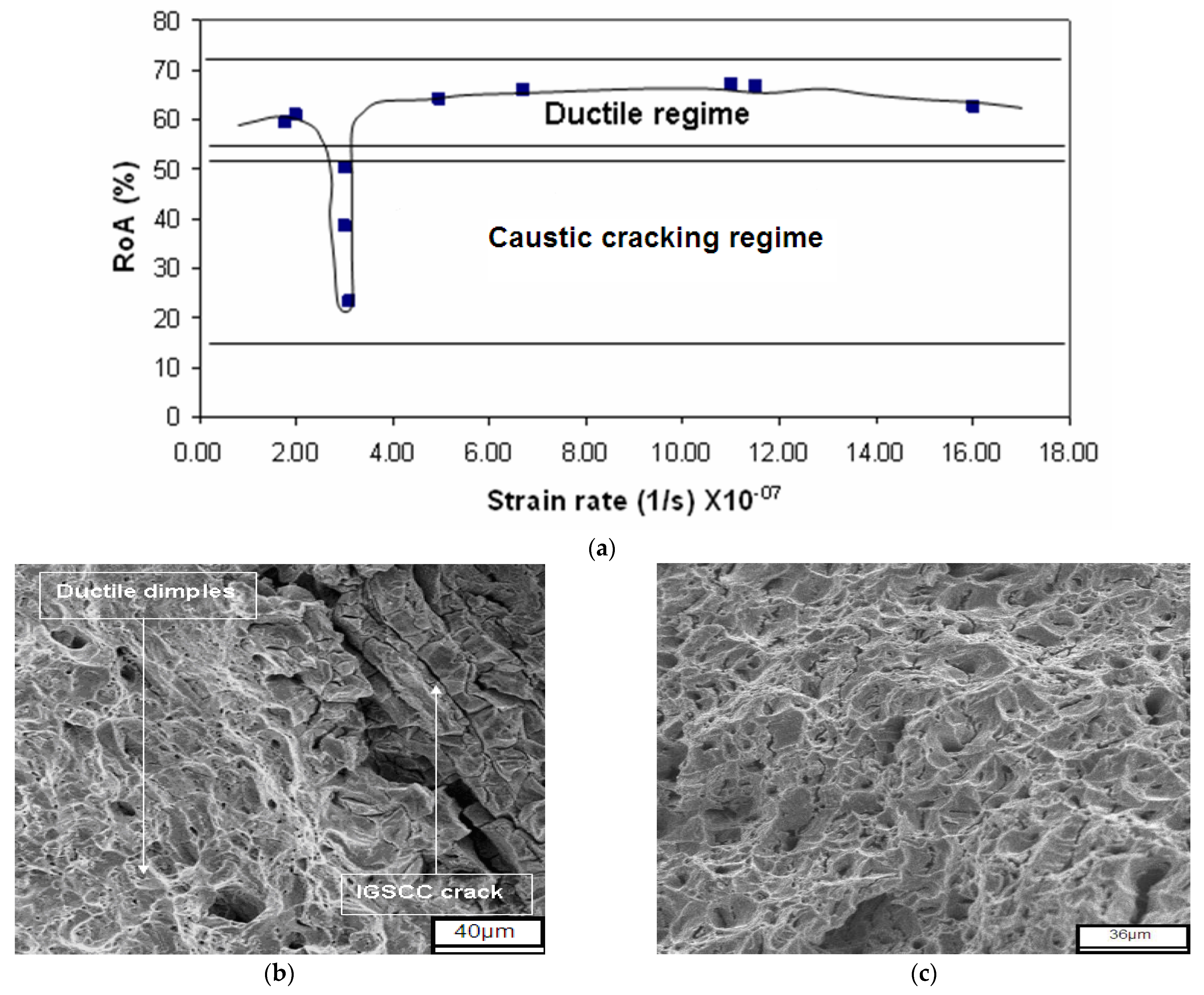 Materials 16 04984 g008